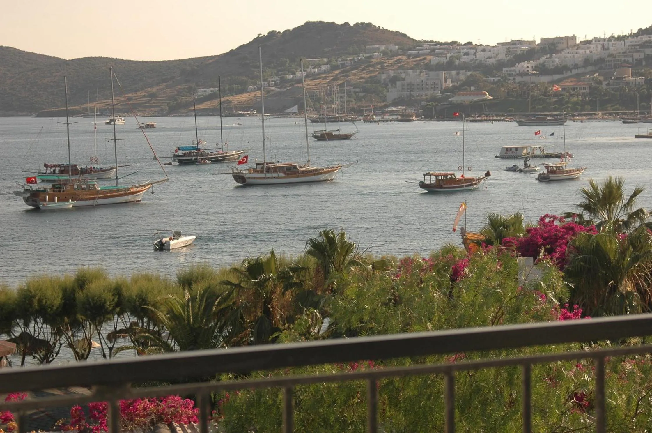 View (from property/room) in Sami Beach Hotel- All Inclusive