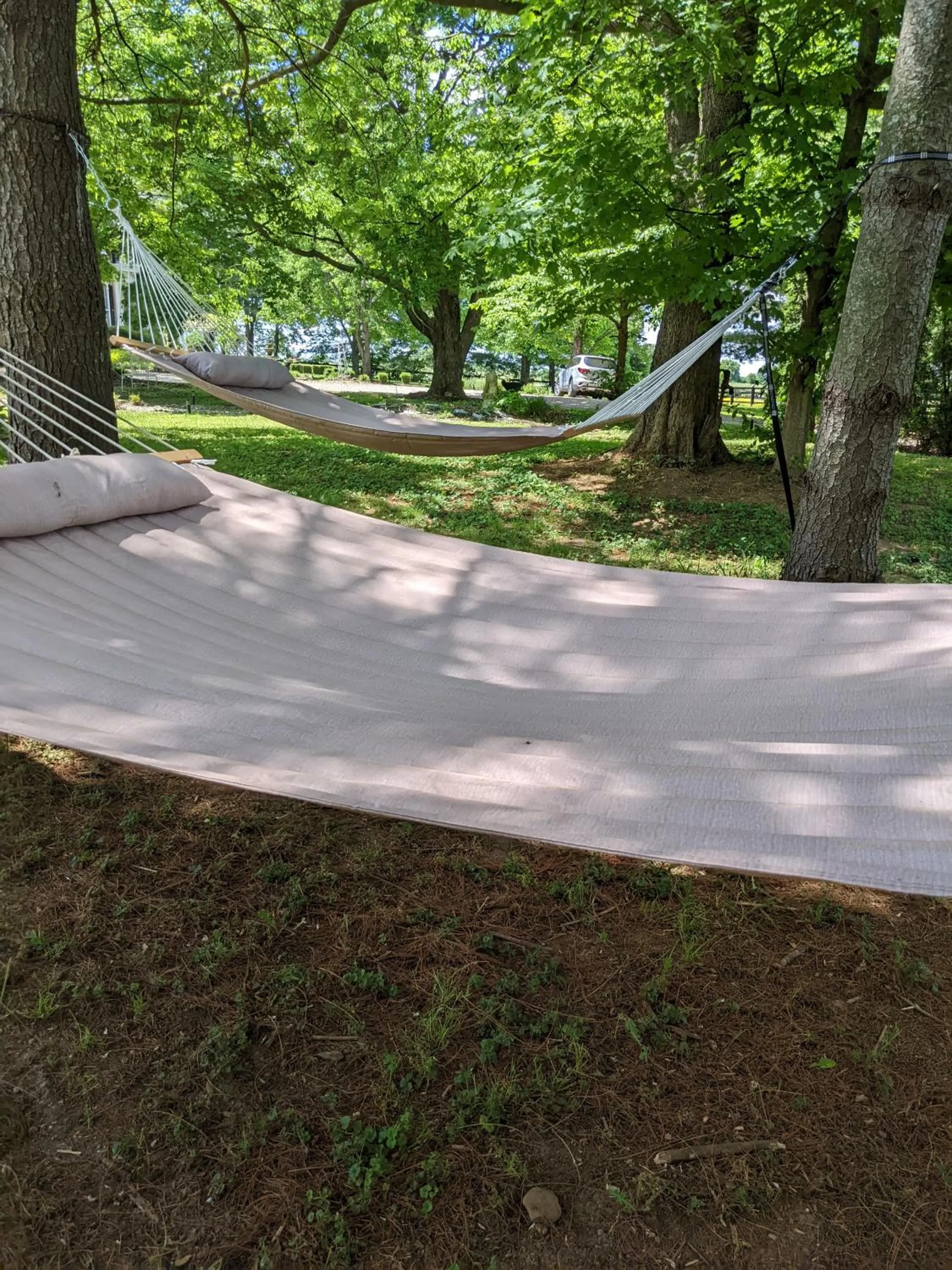 Garden in Maple Hill Manor Bed & Breakfast