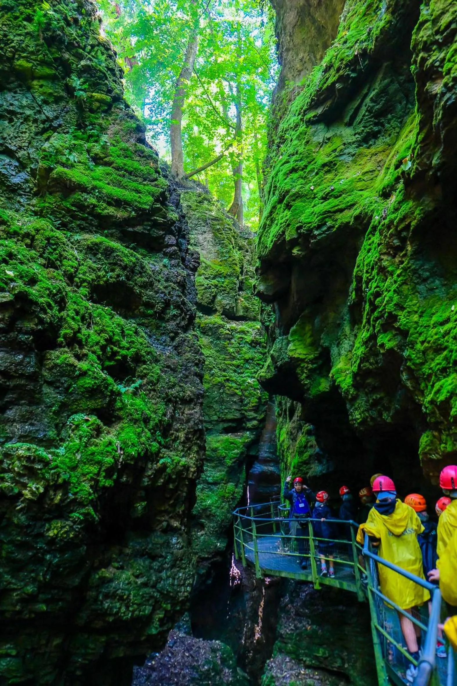 Nearby landmark in Wellness e Resort Stella Delle Alpi