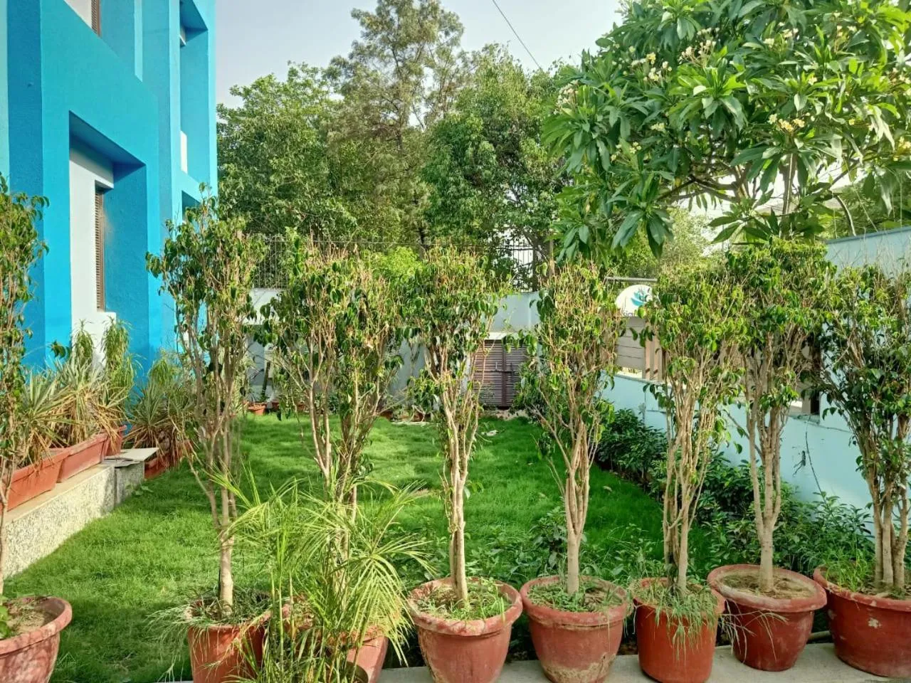Garden in Asian Suites IFFCO Metro Station Gurugram