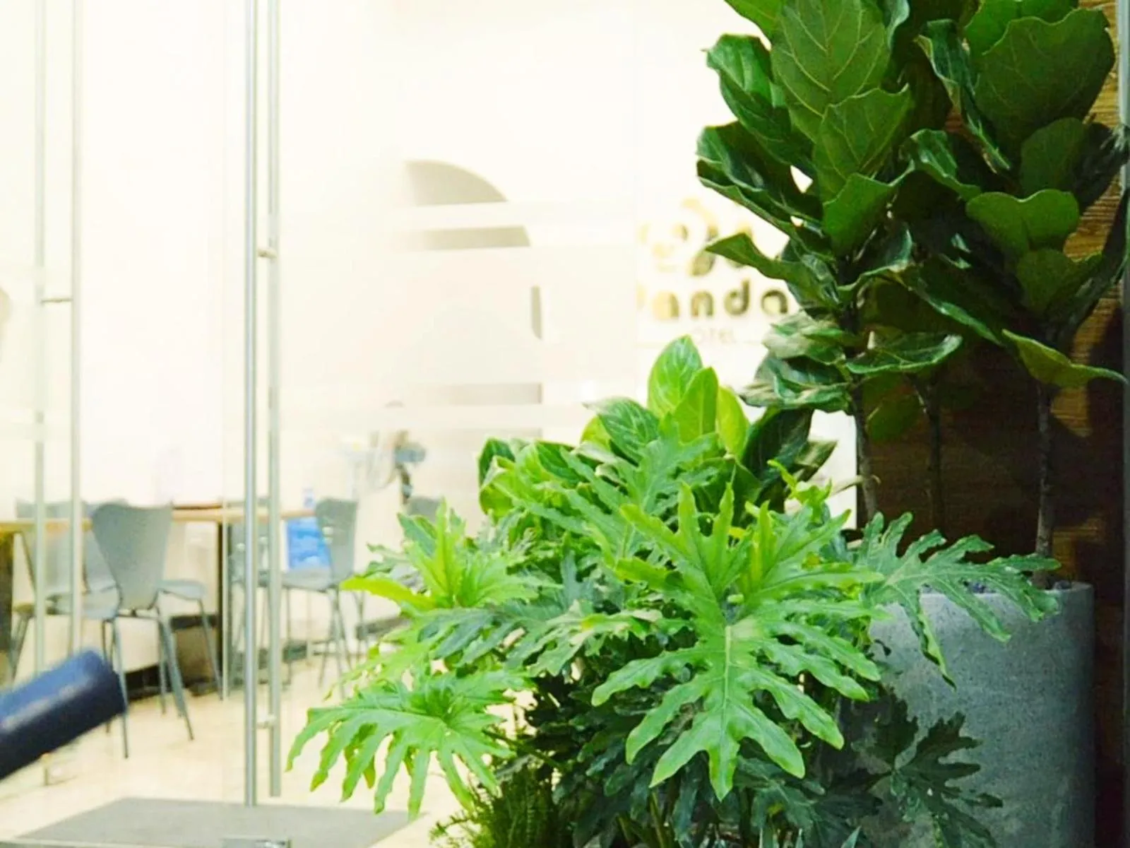 Other in Bai Chay Panda Hotel