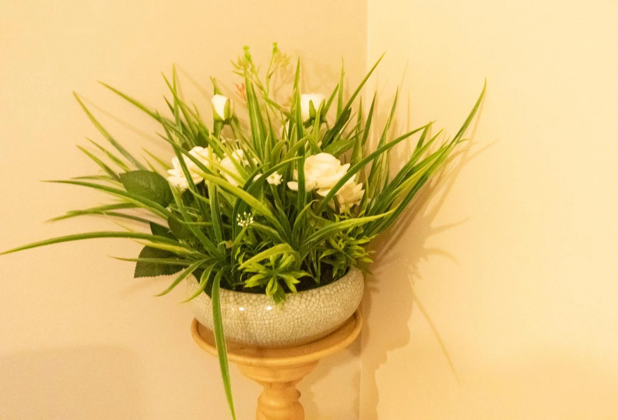 Natural landscape in Bellengers Apartments