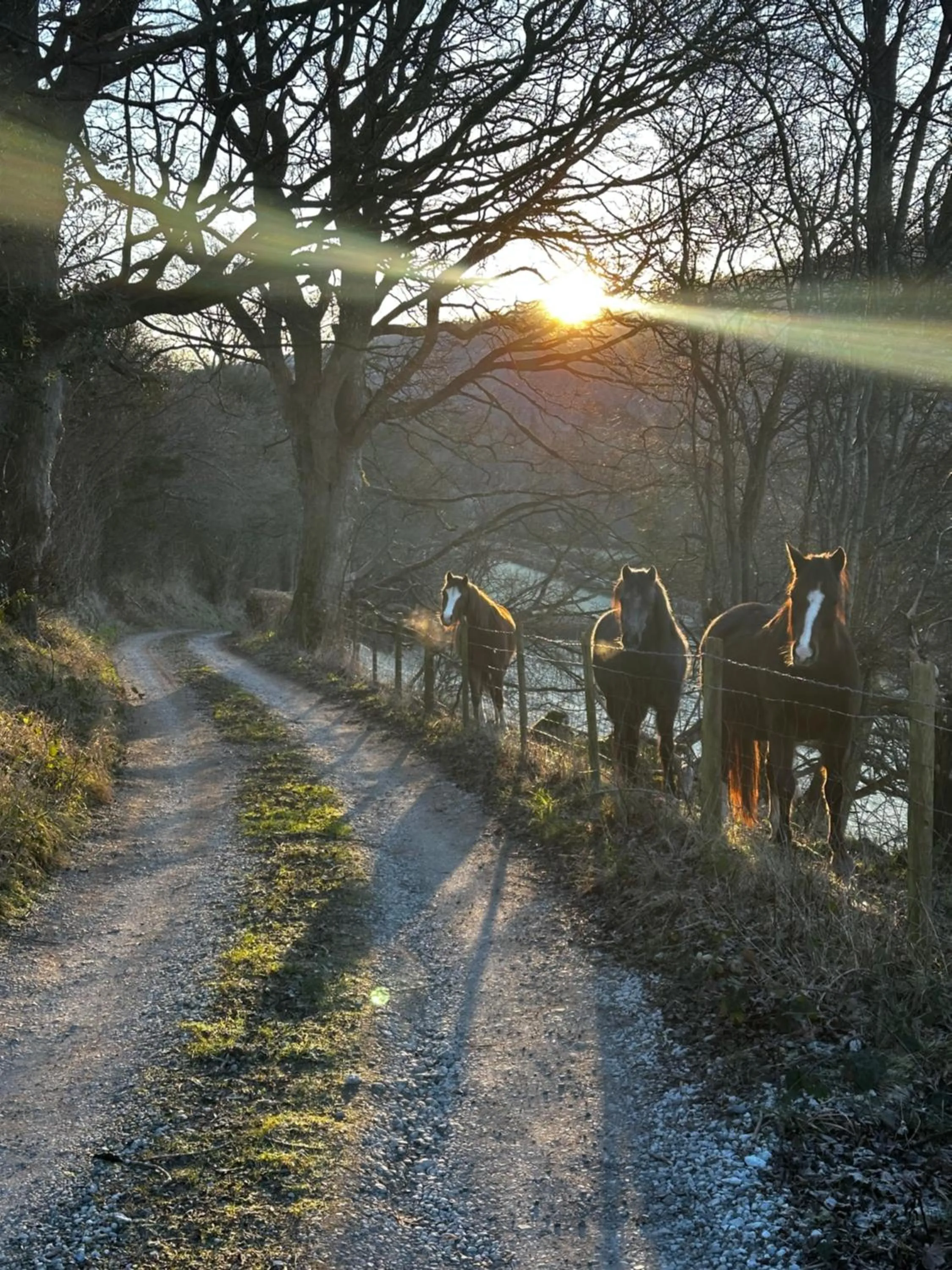 Natural landscape in The Cowshed