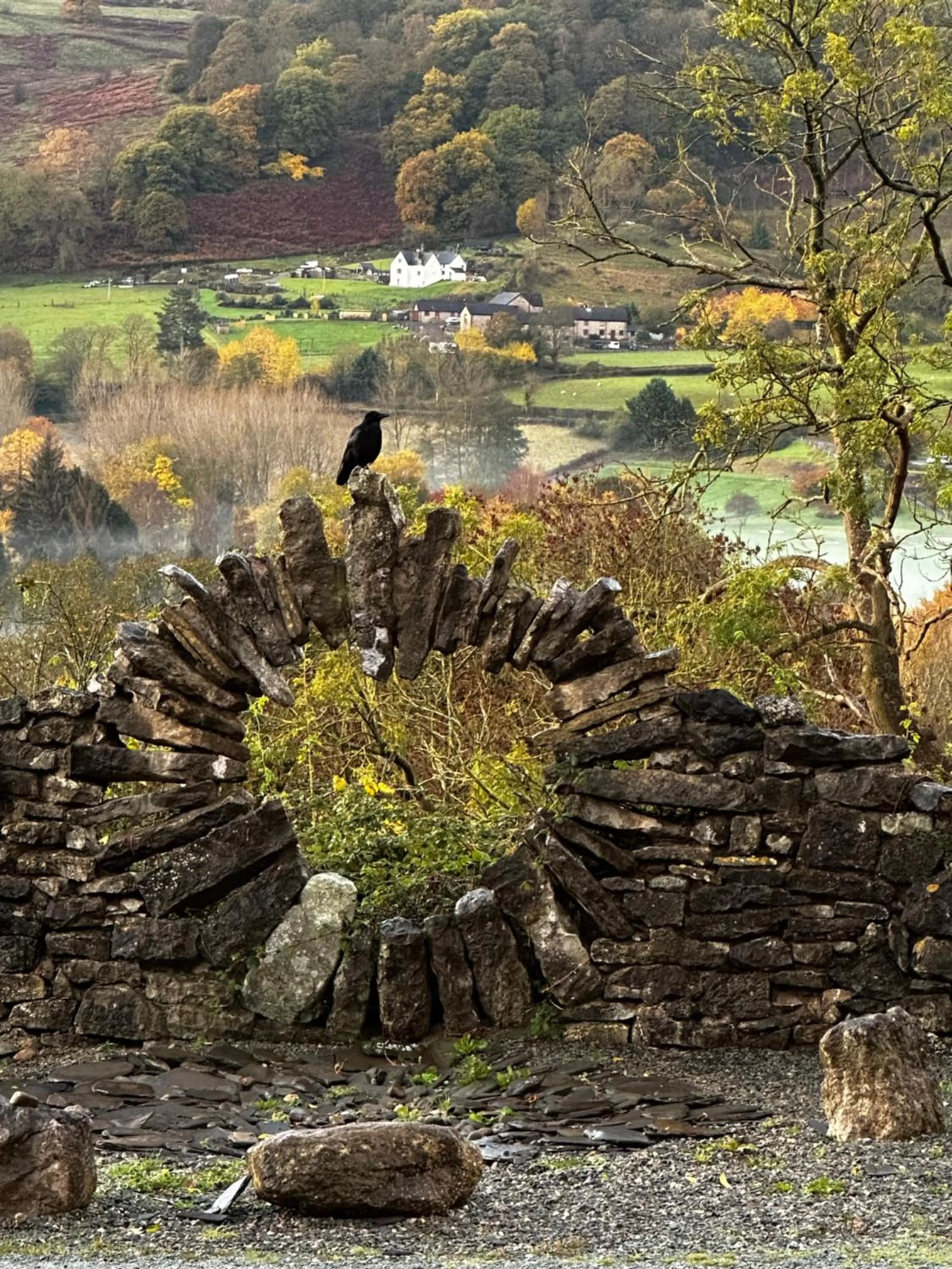 View (from property/room) in The Cowshed