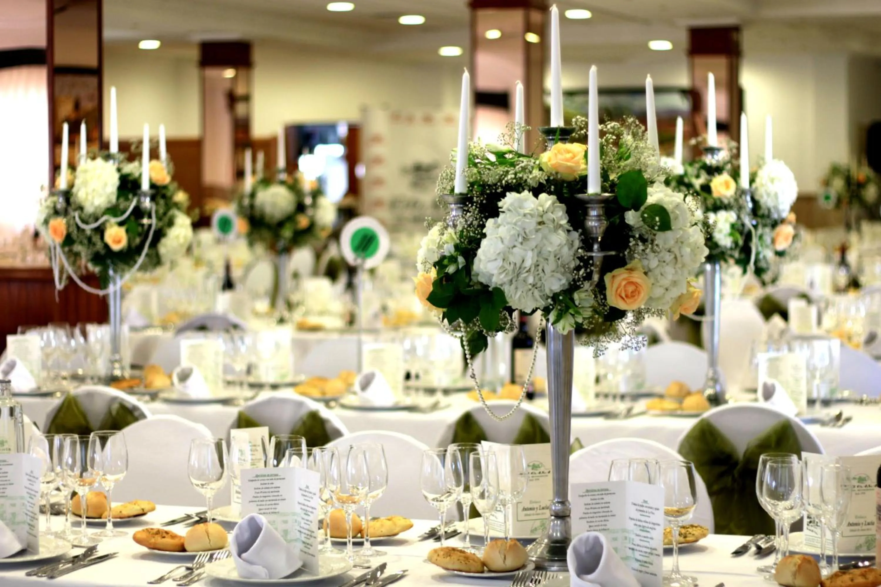 Banquet/Function facilities in Hotel Mi Casa