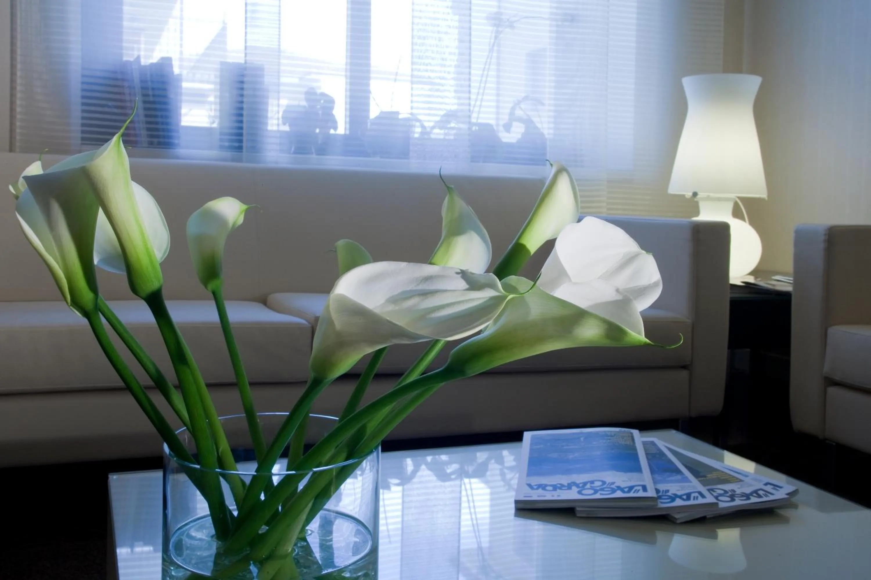 Lobby or reception in Hotel Desenzano