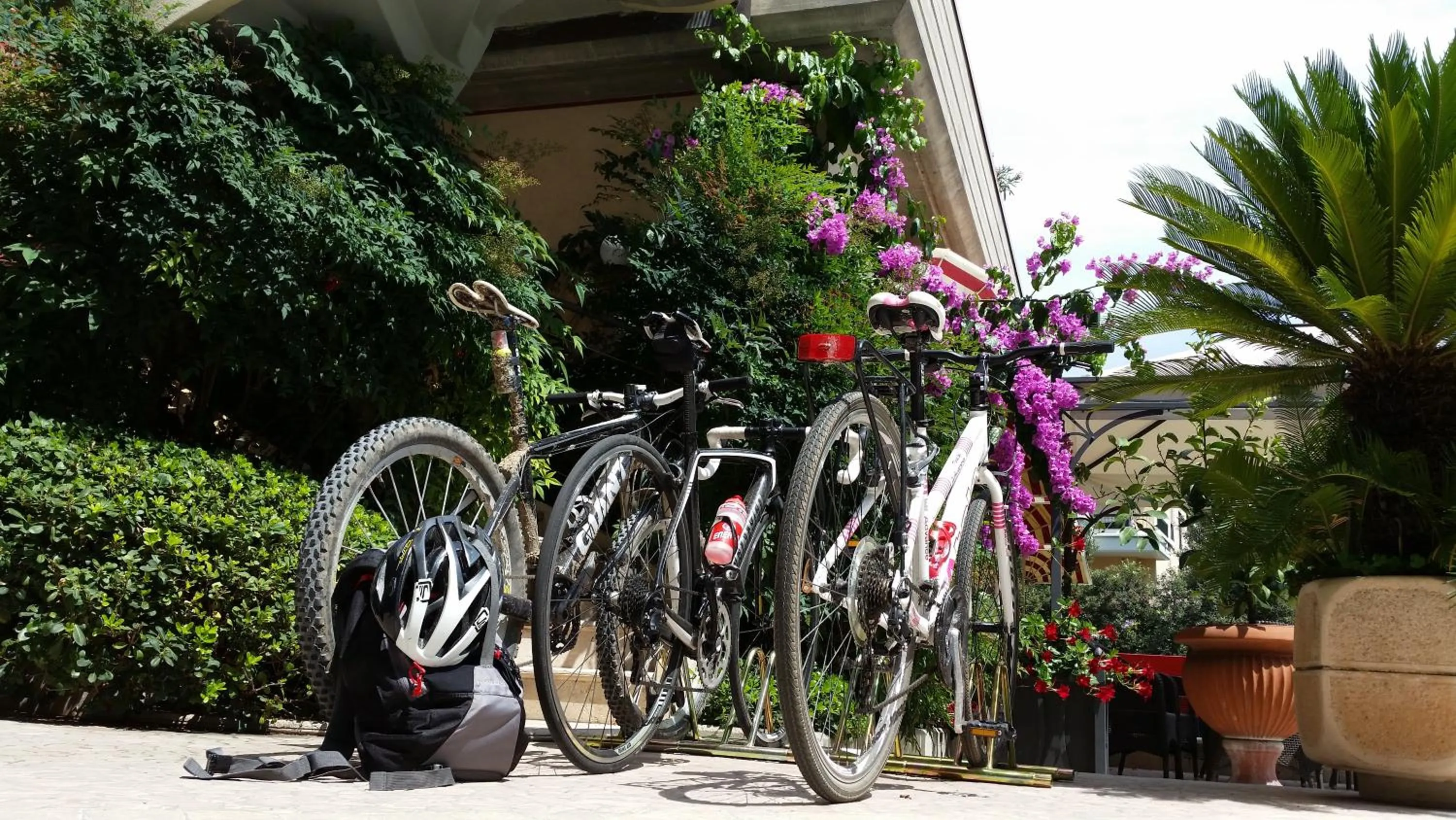 Other in Hotel Desenzano