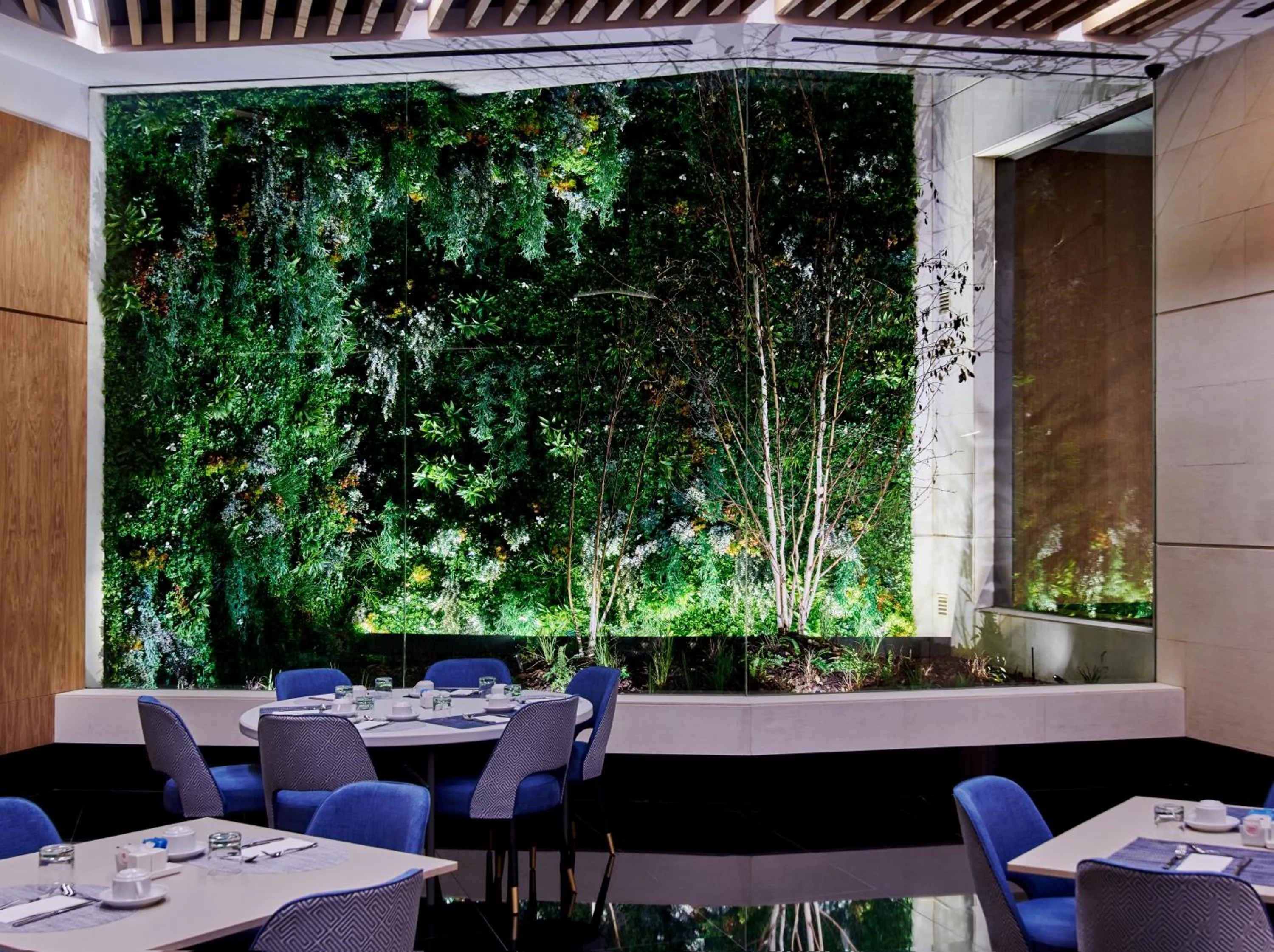 Restaurant/places to eat in Hotel MyPalace León