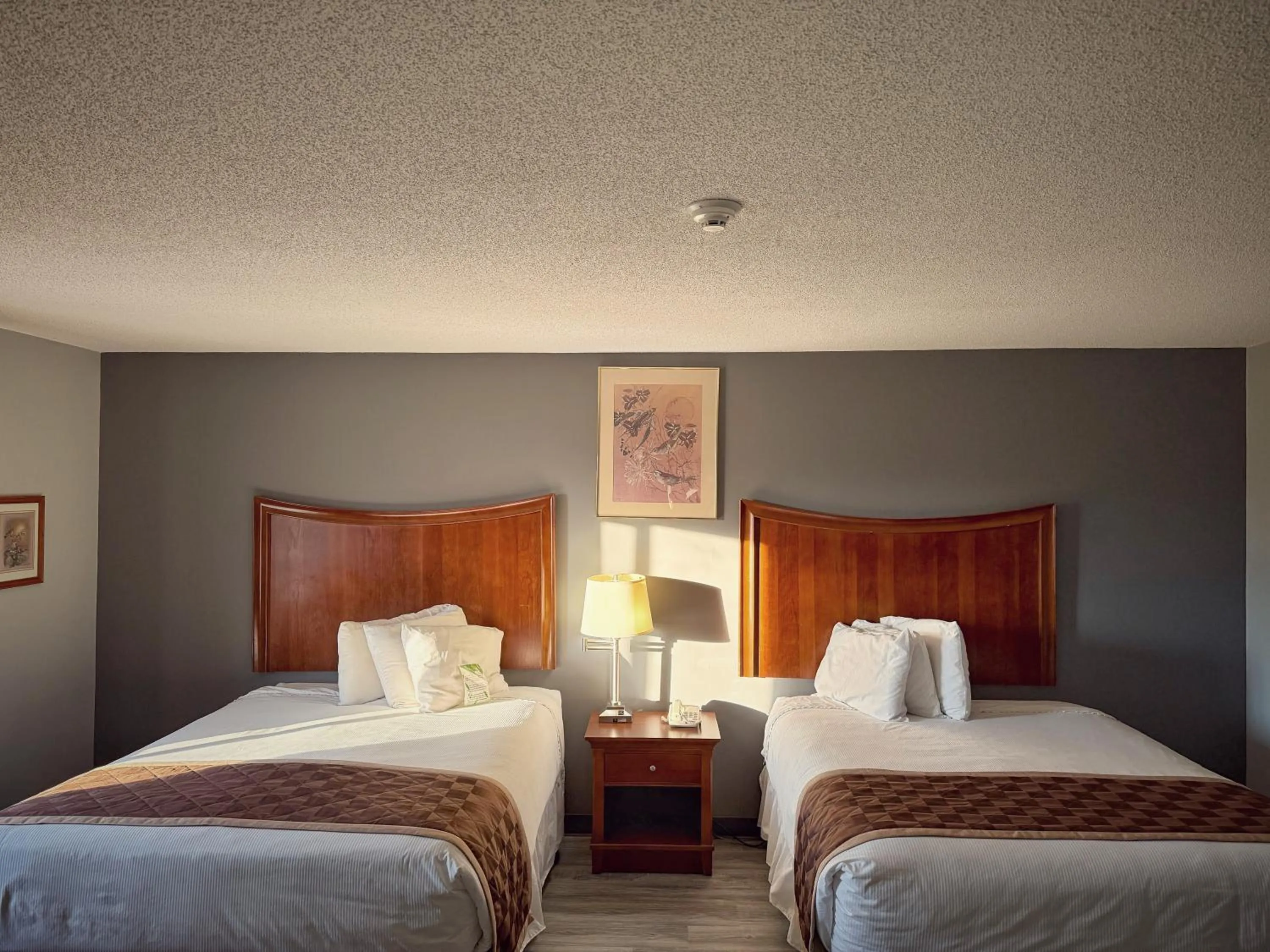 Bed in Lake Tree Inn & Suites