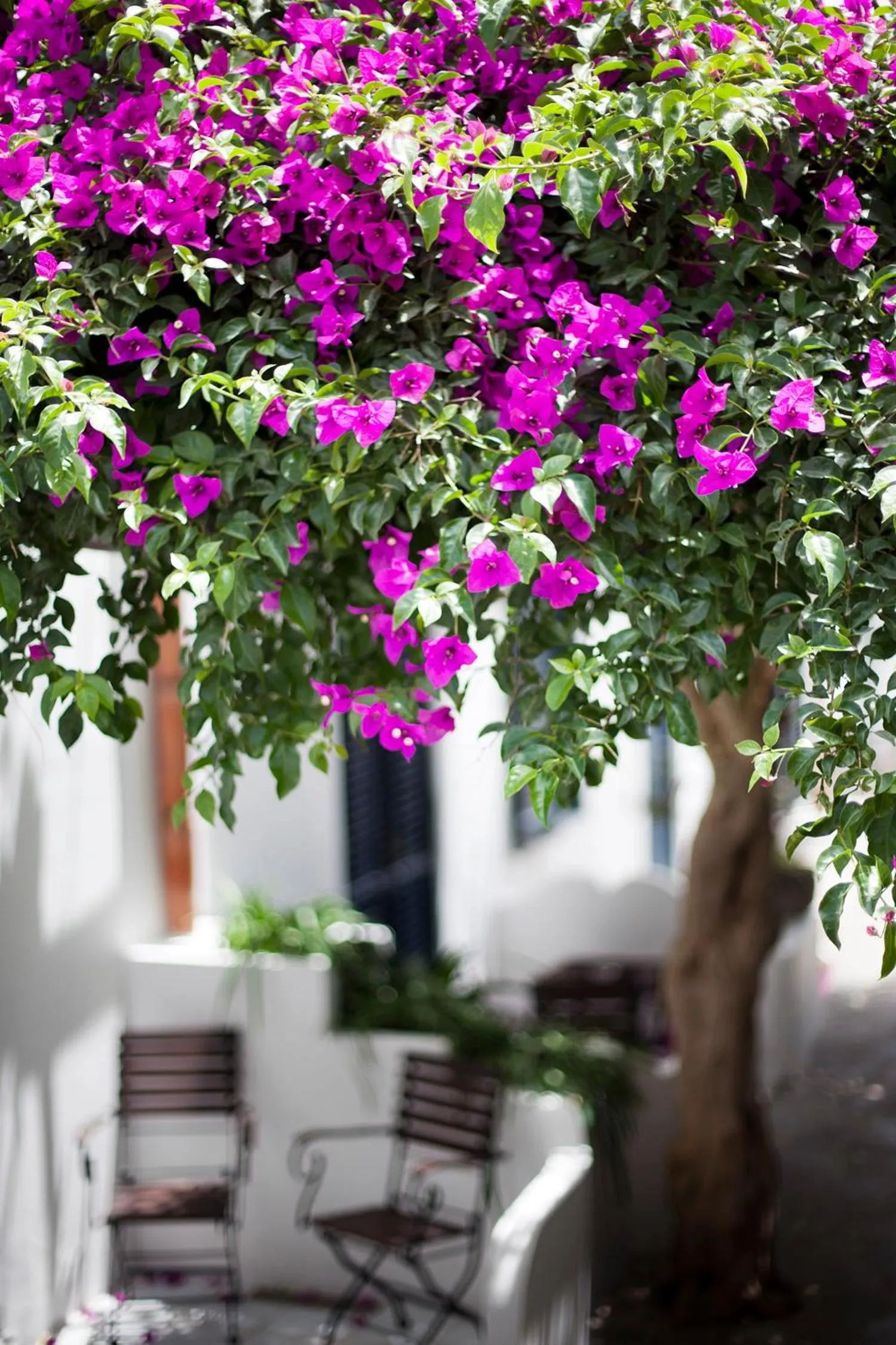 Quartara Boutique Hotel