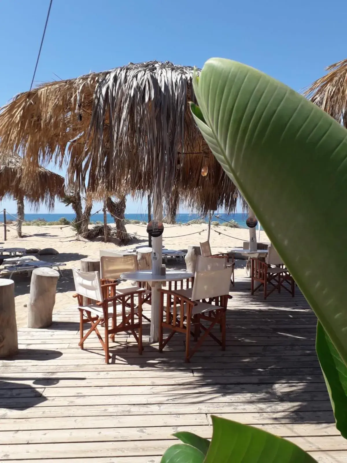 Single Room in Hotel Aria di Mare Single Room in Hotel Aria di Mare