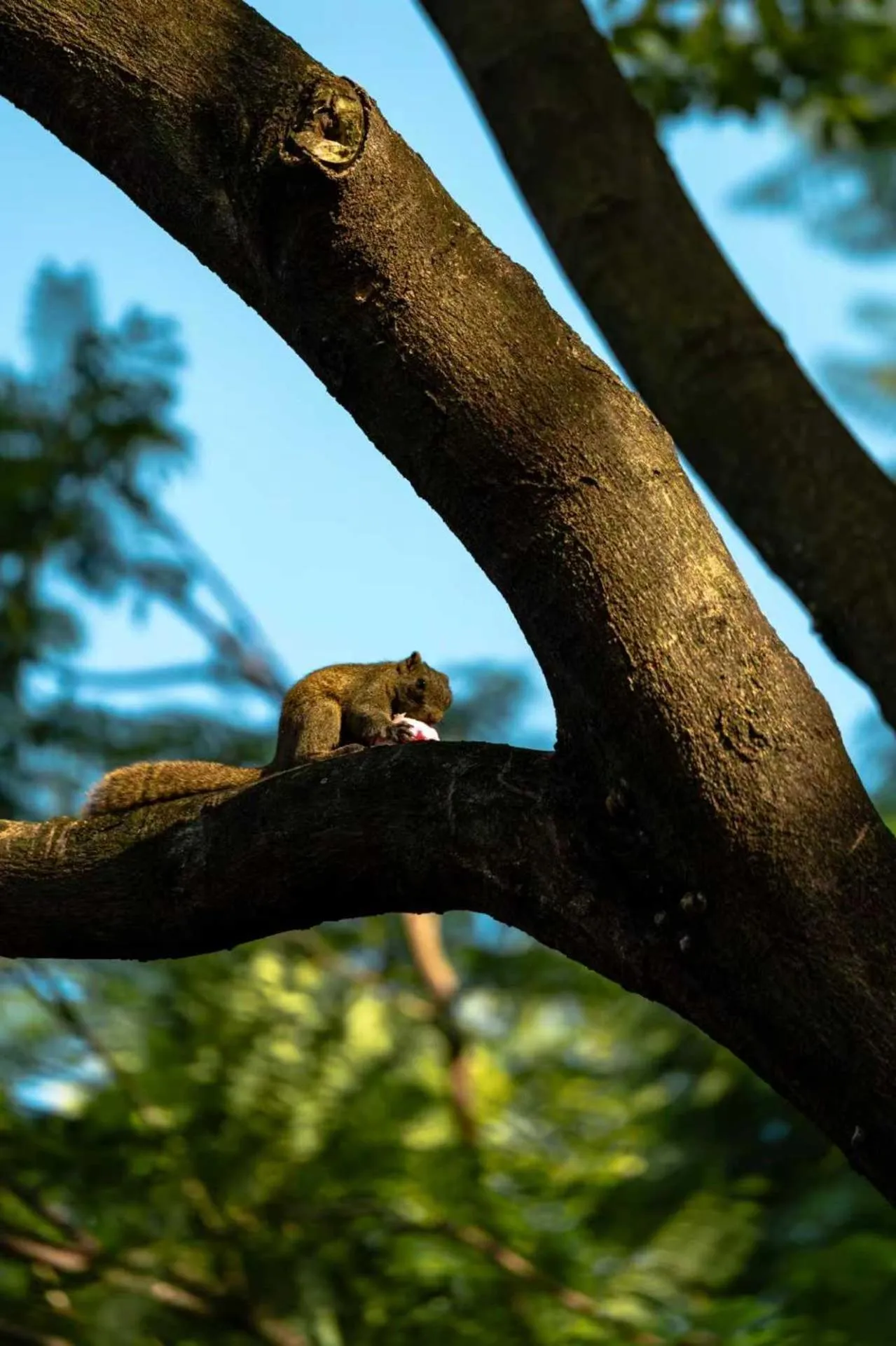 Nearby landmark in Crowne Plaza Kunming City Centre by IHG