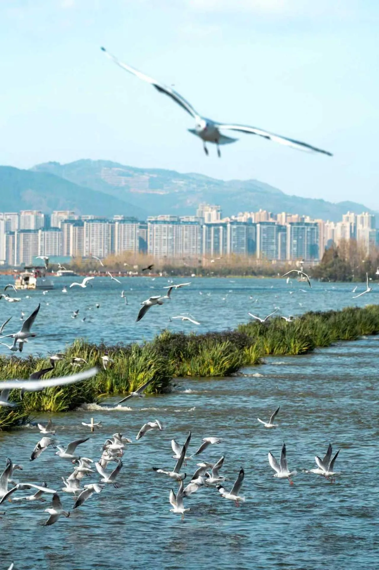 Nearby landmark in Crowne Plaza Kunming City Centre by IHG