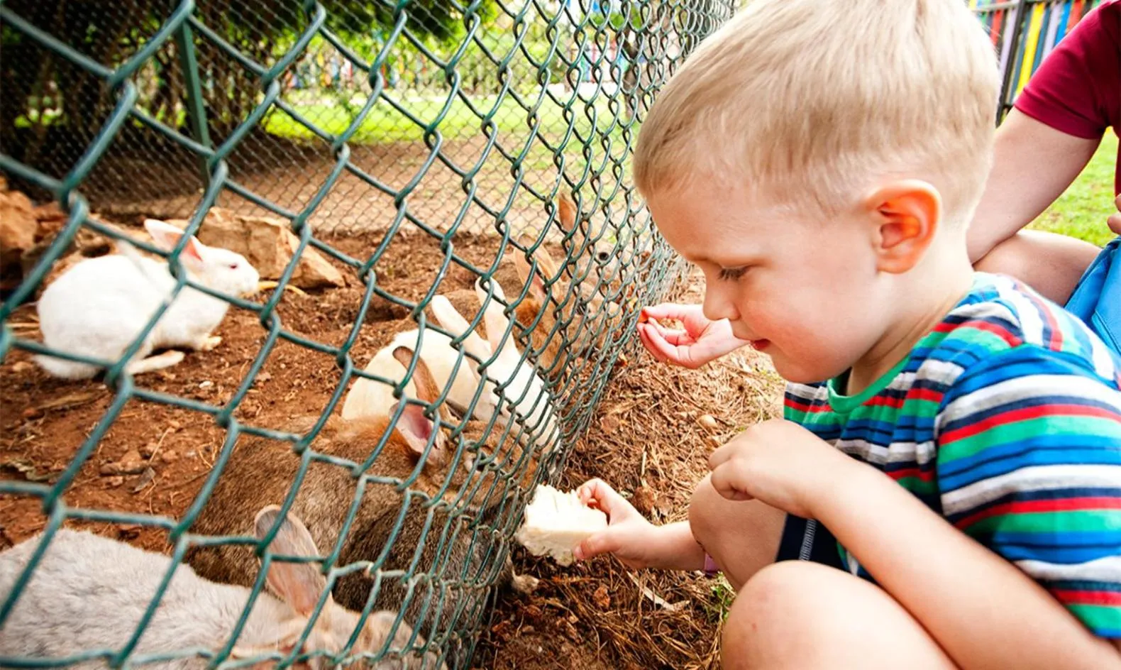 Children play ground in Belconti Resort Hotel