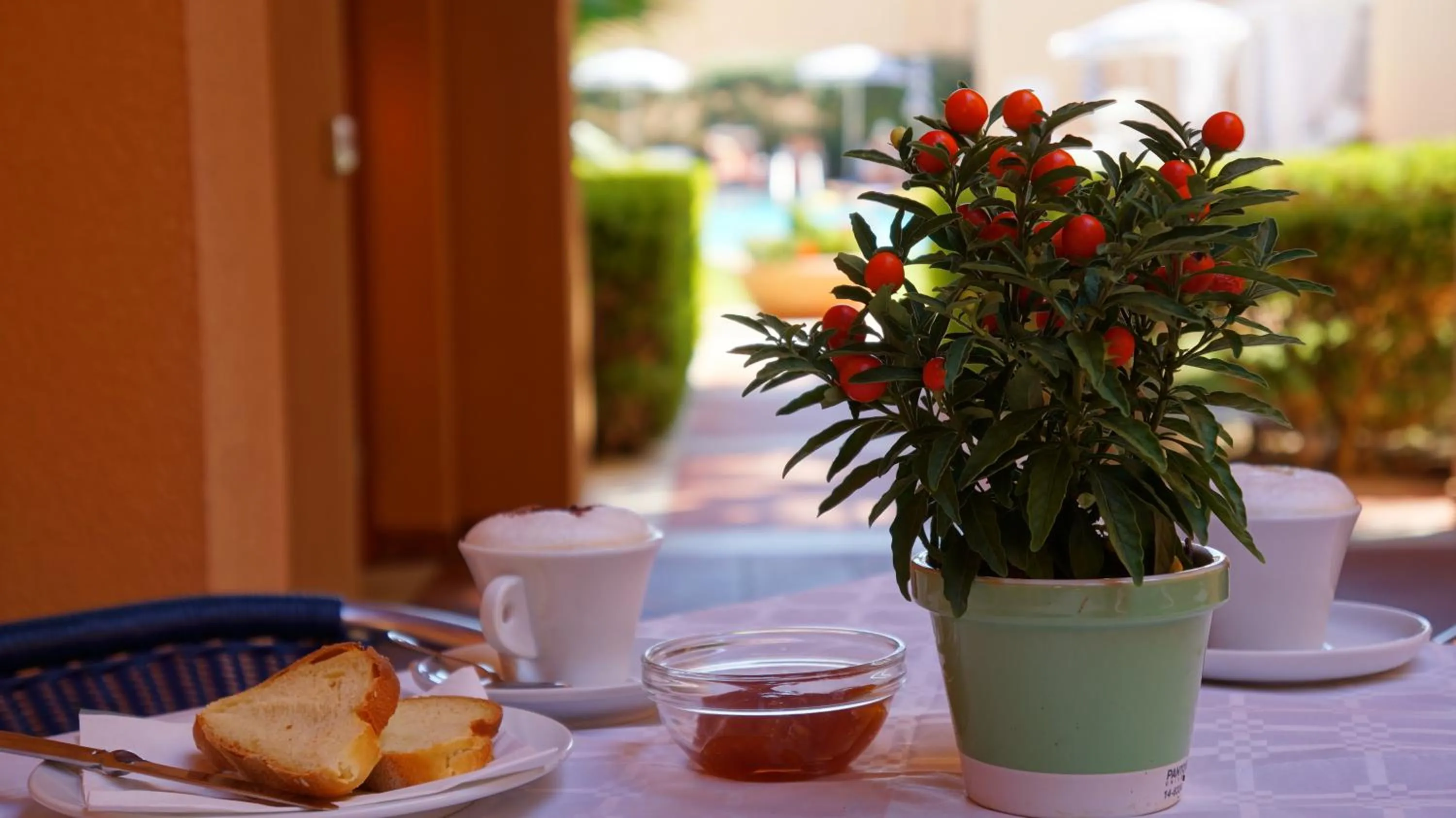 Day in Hotel Punta Nord Est