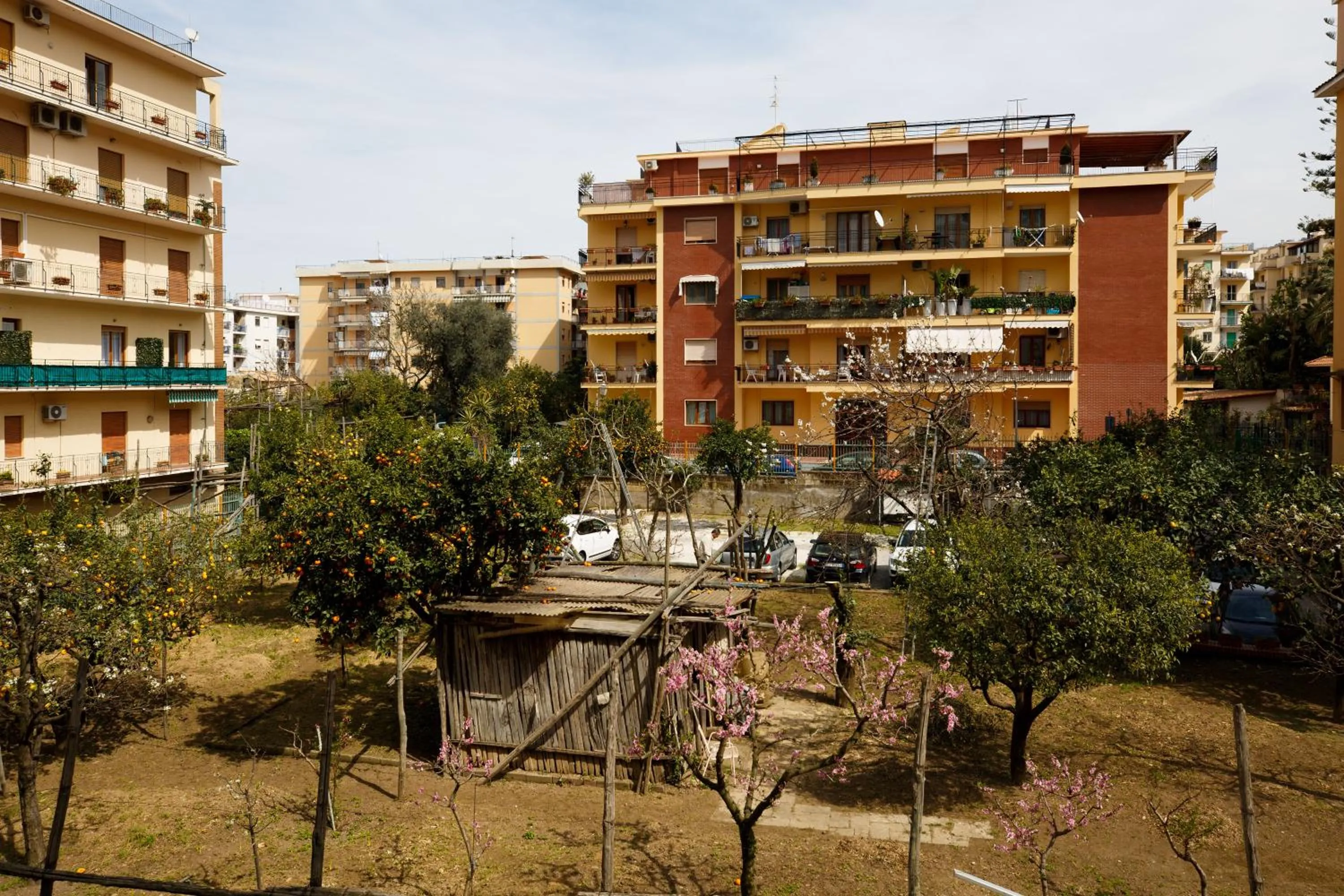 Garden view in MelRose Sorrento