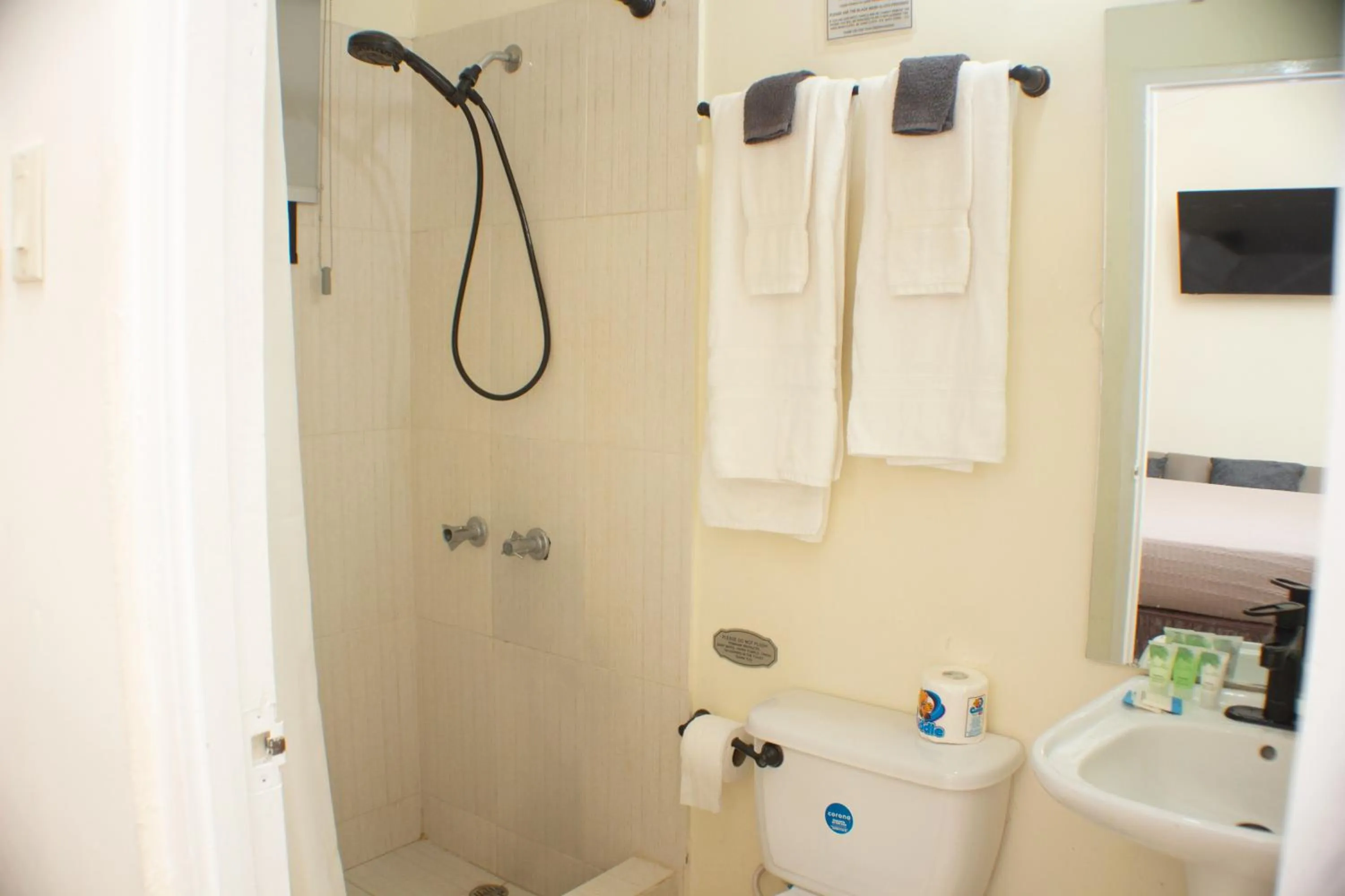 Shower in The Vista Inn