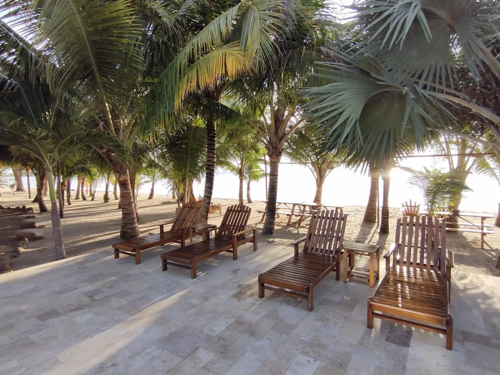 Natural landscape in Ceiba Beach Resort