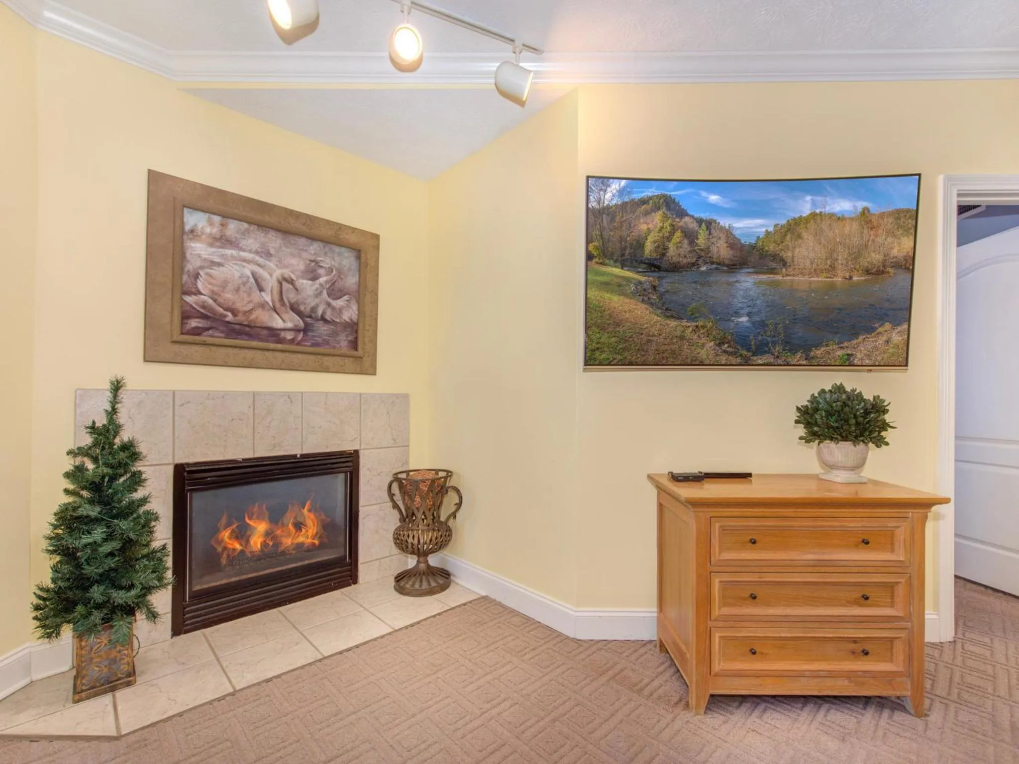 Property building in Smokey Bear 1103