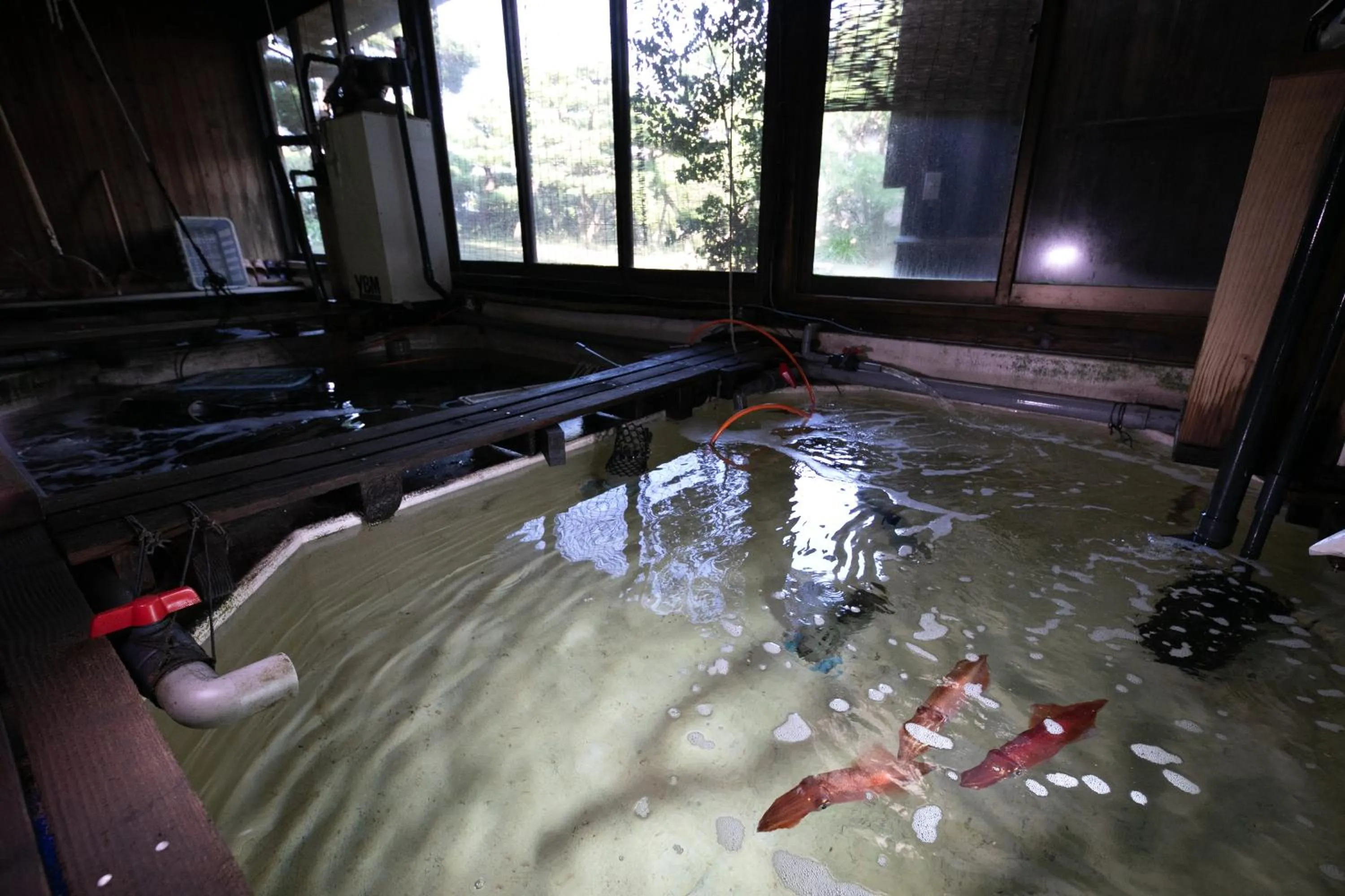 Area and facilities in Mizuno Ryokan