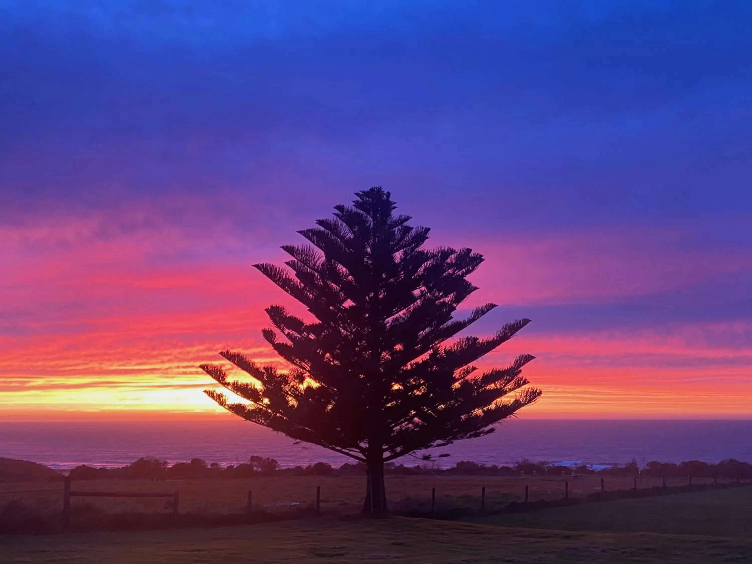 View (from property/room) in Seacroft Estate