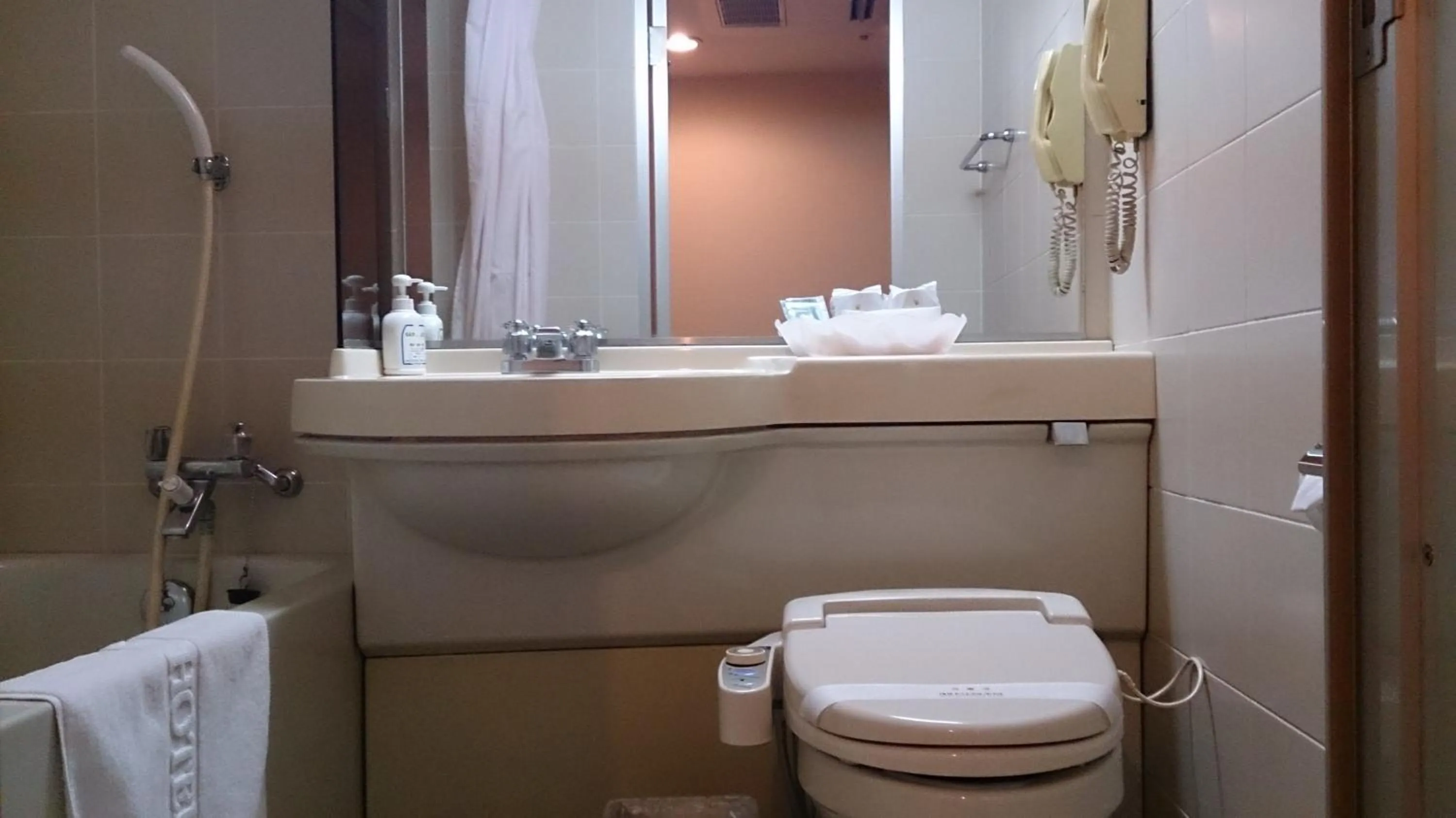 Bathroom in Asakusa Central Hotel