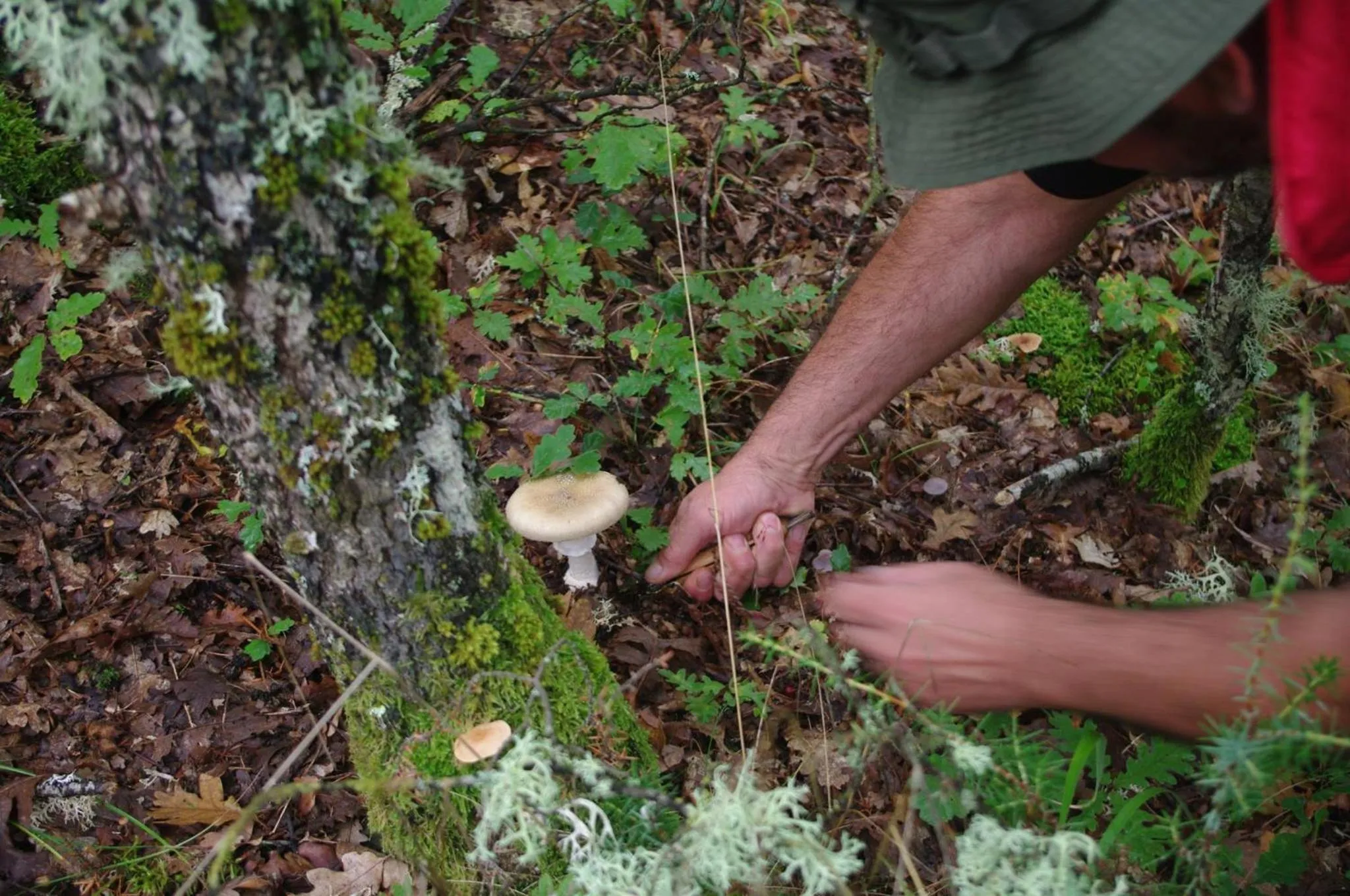 Food in Valia Nostra Escape Hotel