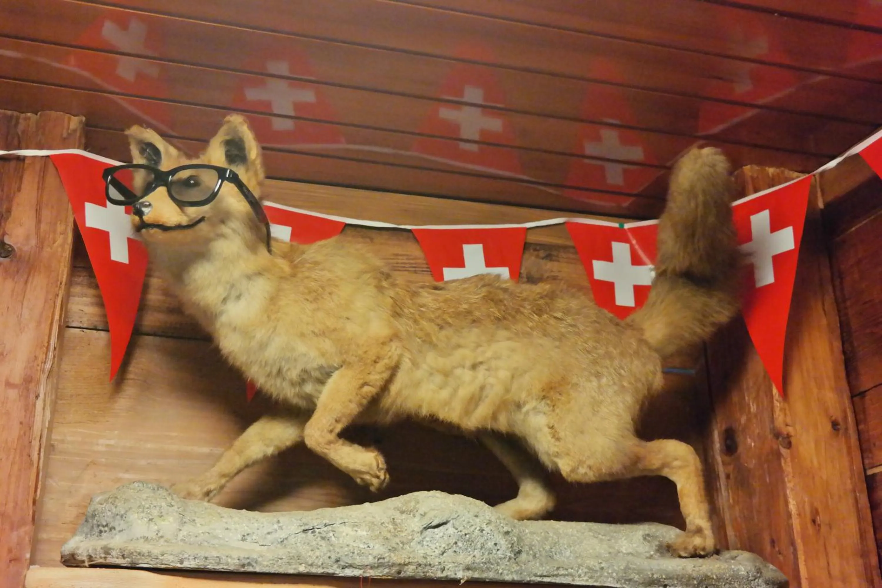 Communal lounge/ TV room in Bellpark Hostel