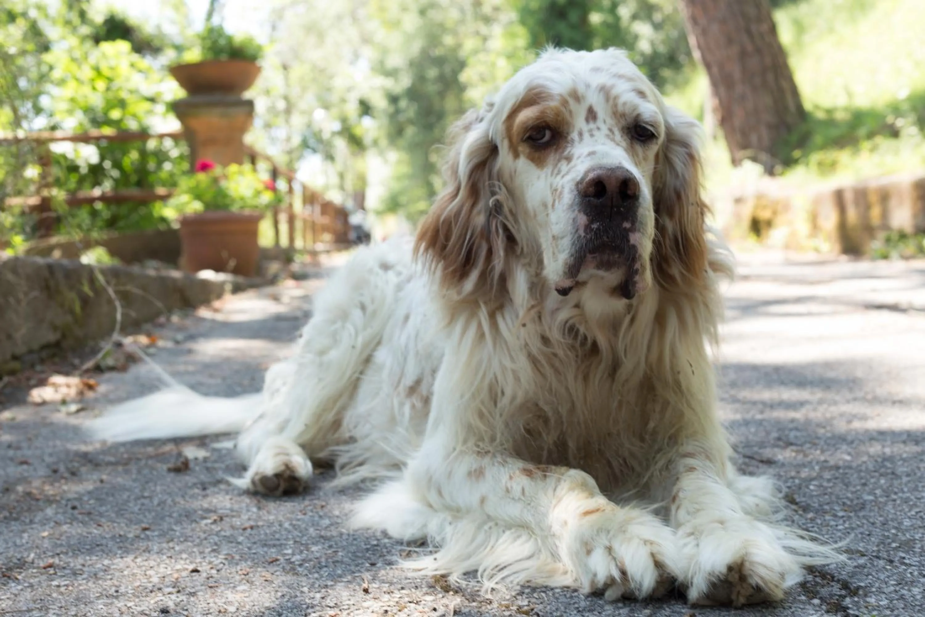 Other in Grand Hotel Hermitage