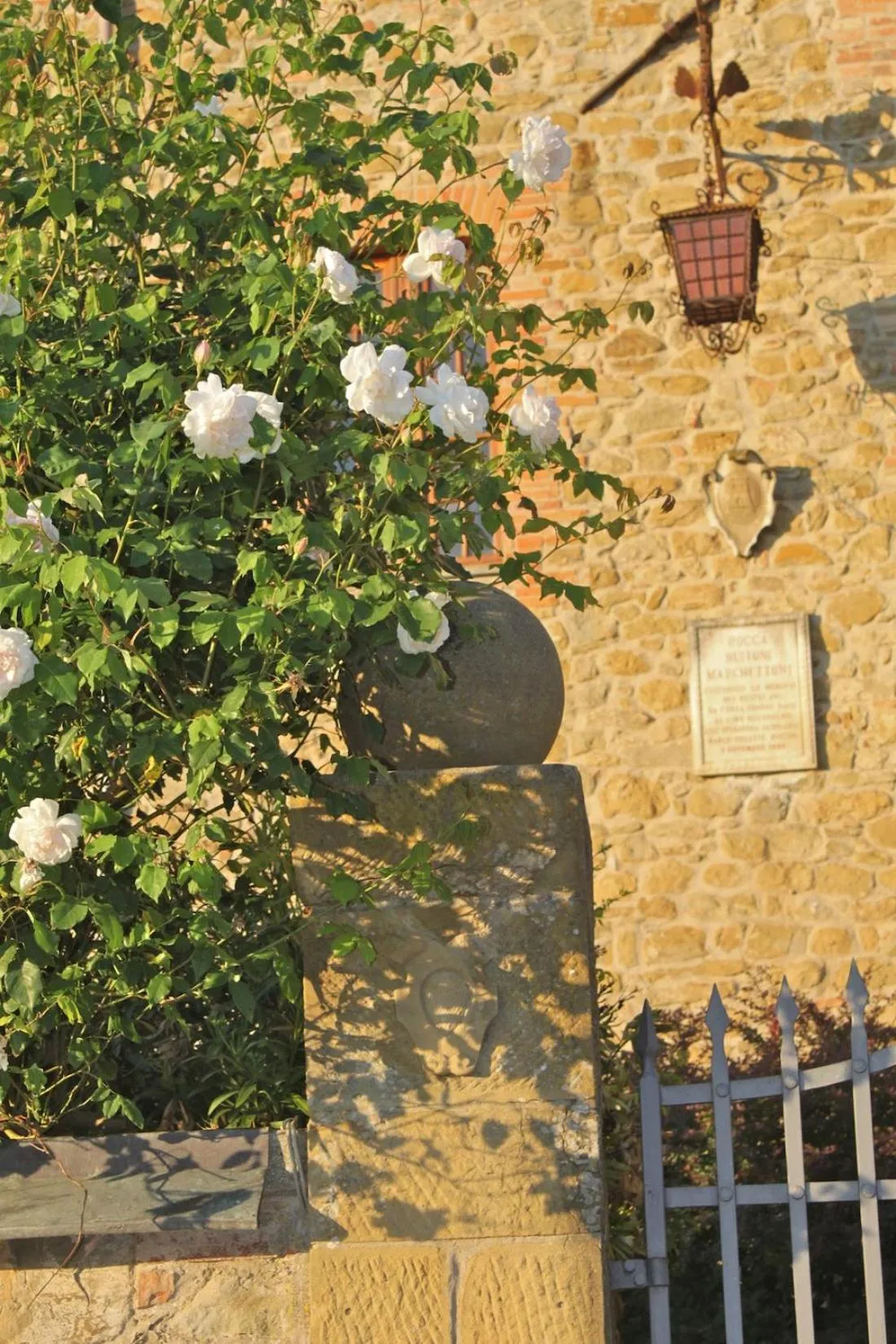 Property building, Patio/Outdoor Area in Relais Mastro Cinghiale