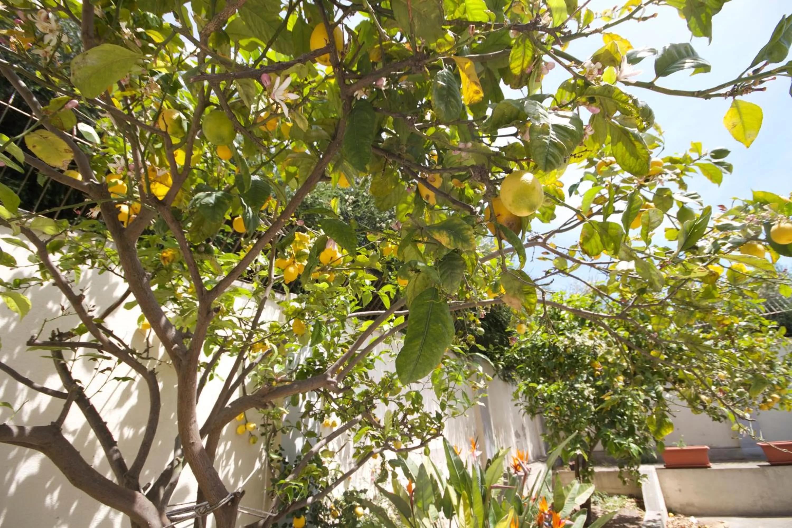 Area and facilities in B&B Santa Gilla