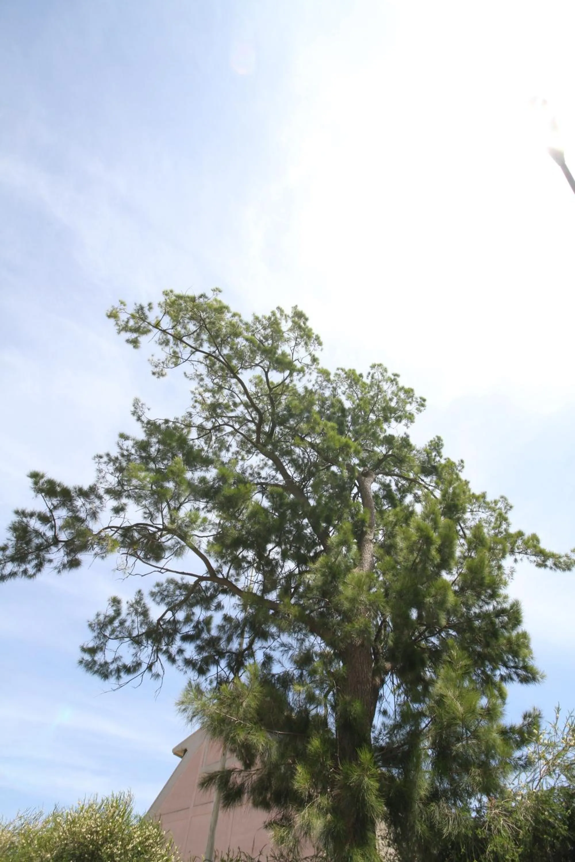 Area and facilities in B&B Santa Gilla