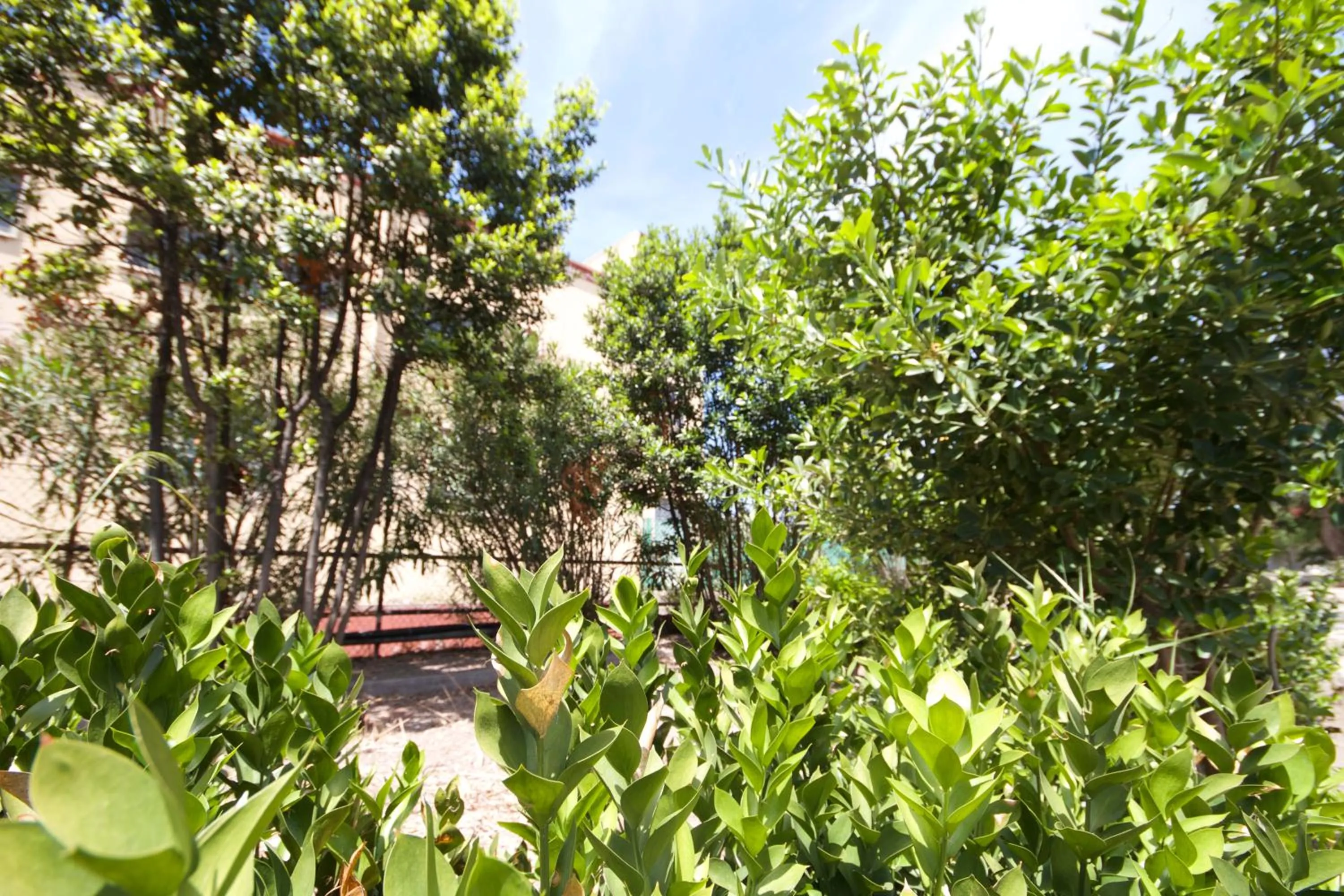 Area and facilities in B&B Santa Gilla