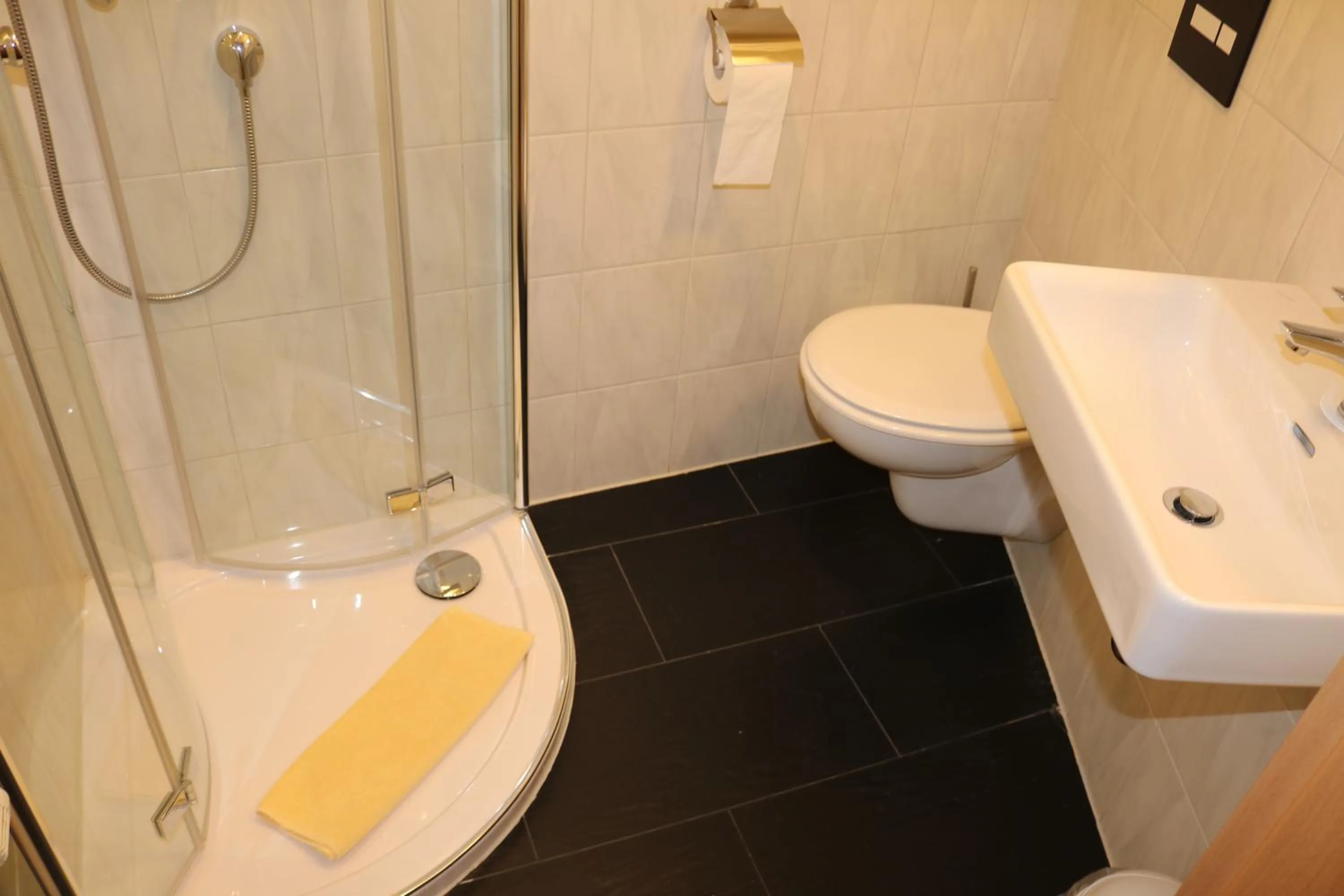 Shower in Hotel Brigitte