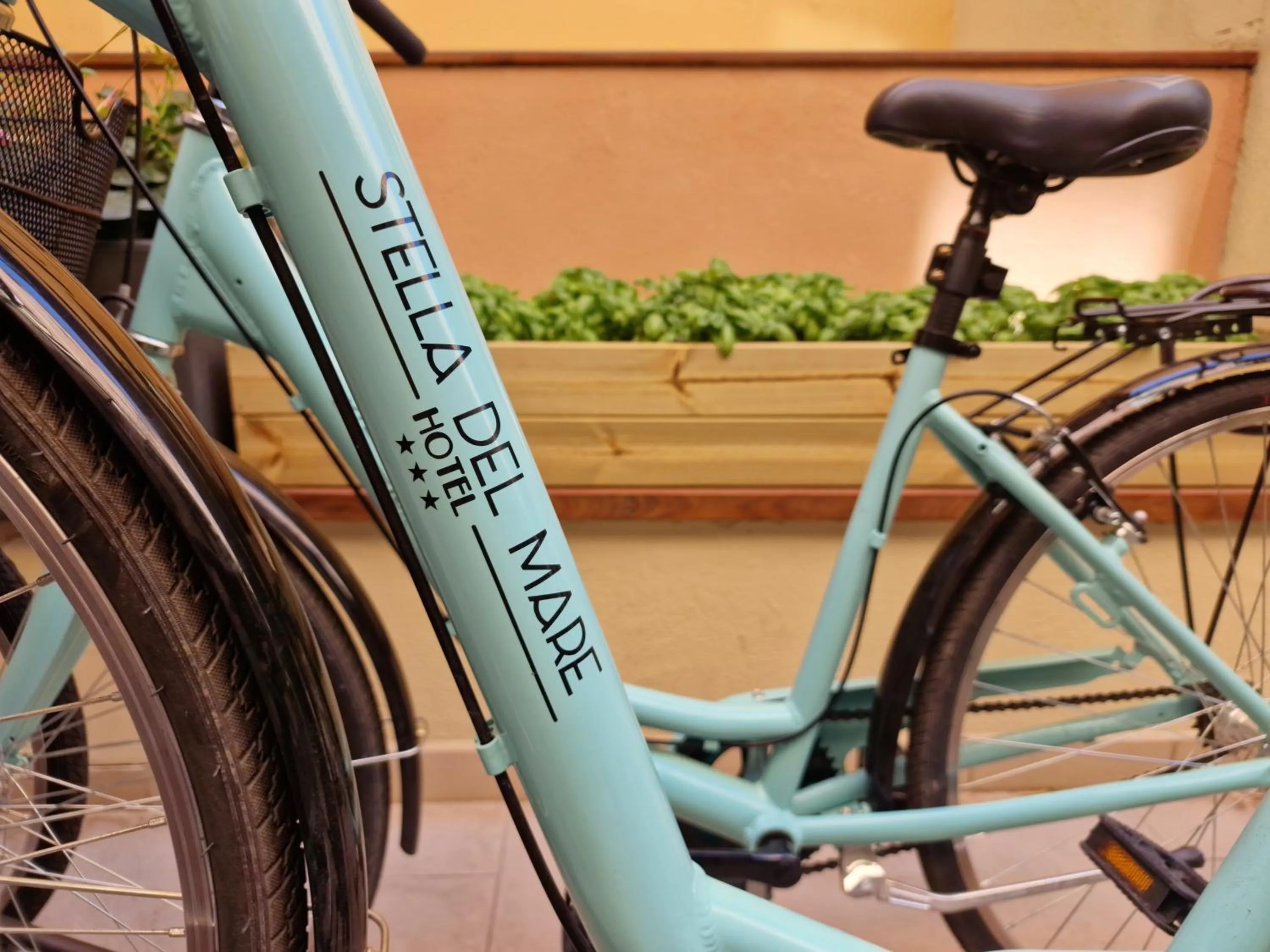 Cycling in Hotel Stella Del Mare
