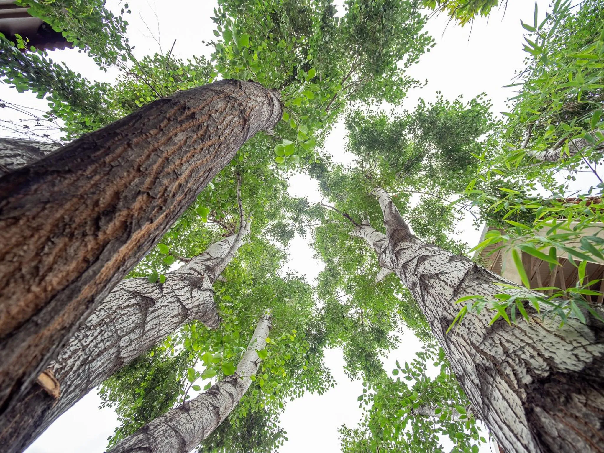 Garden in Menlyn Boutique Hotel