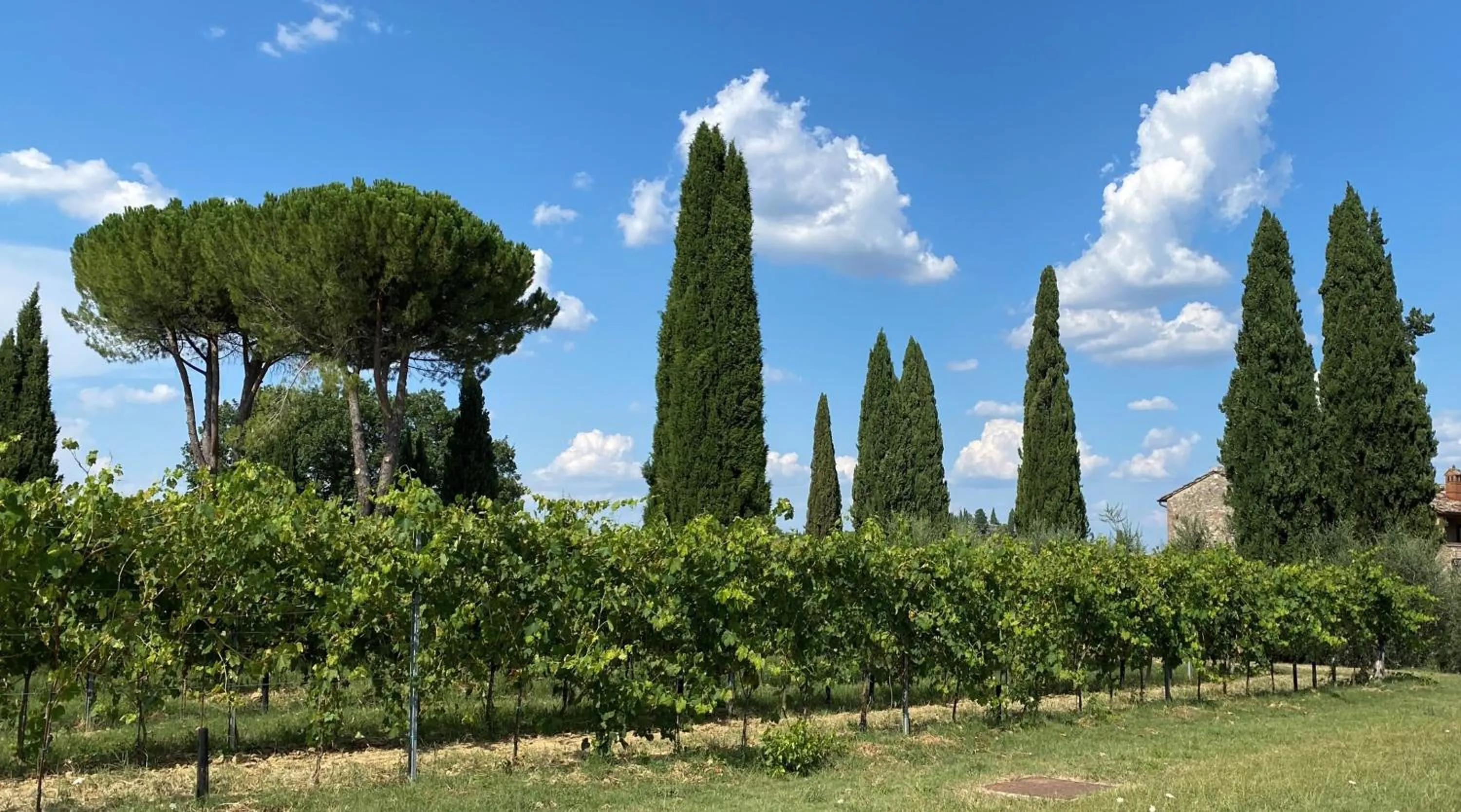 Activities in Hotel Sovestro