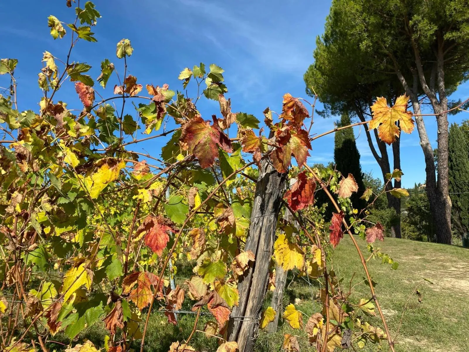 Activities in Hotel Sovestro