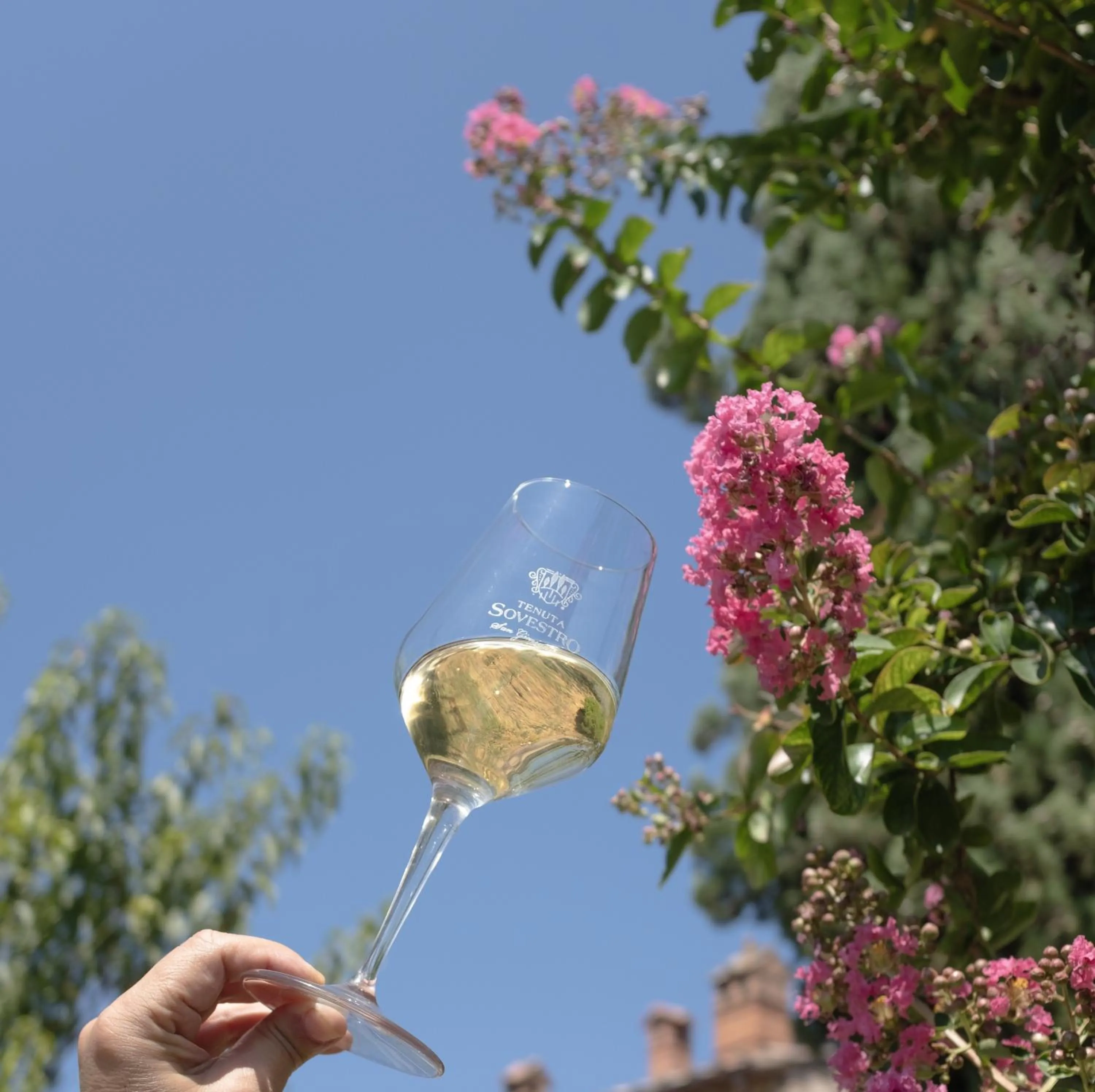 Activities in Hotel Sovestro