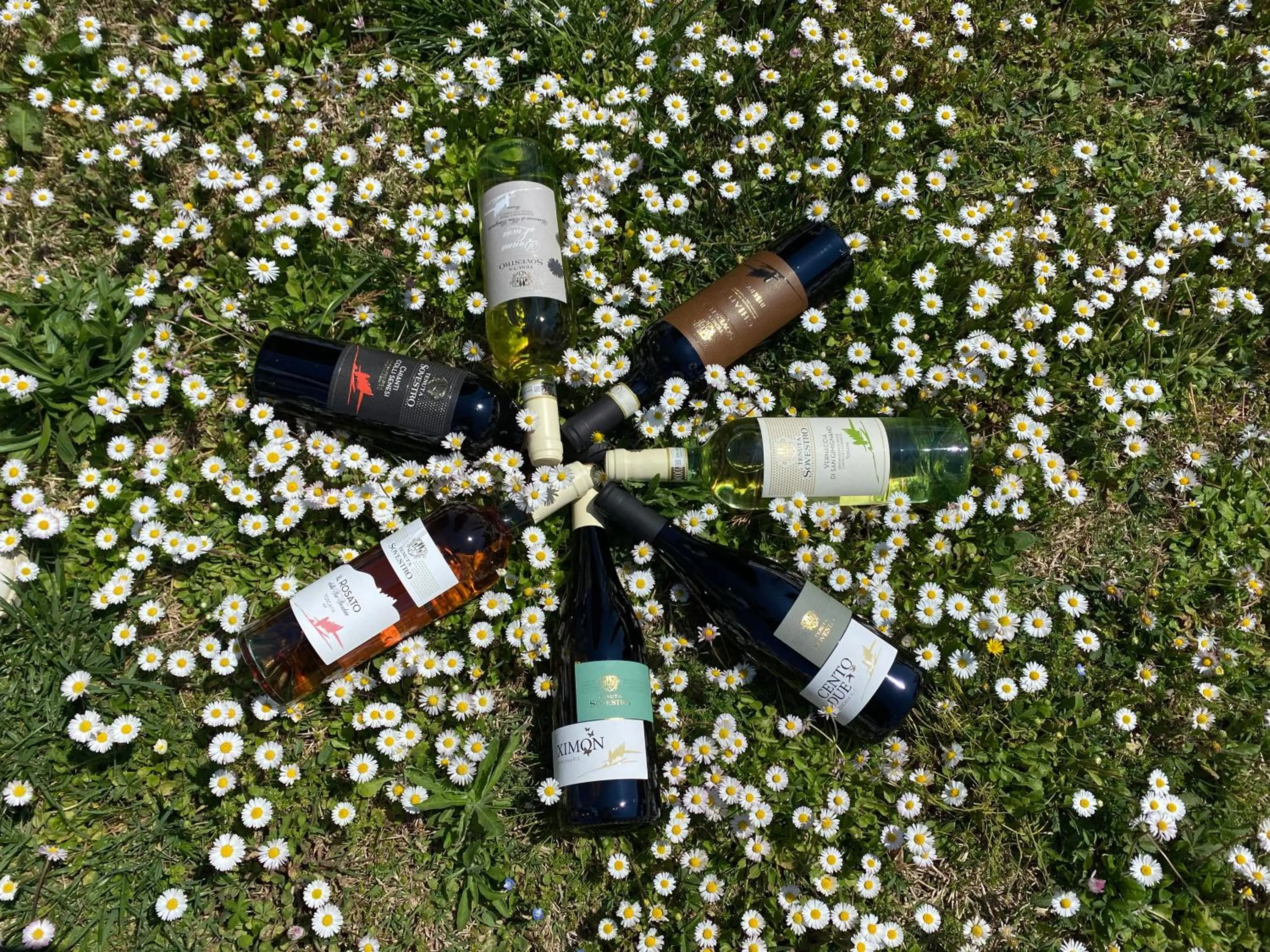 Activities in Hotel Sovestro