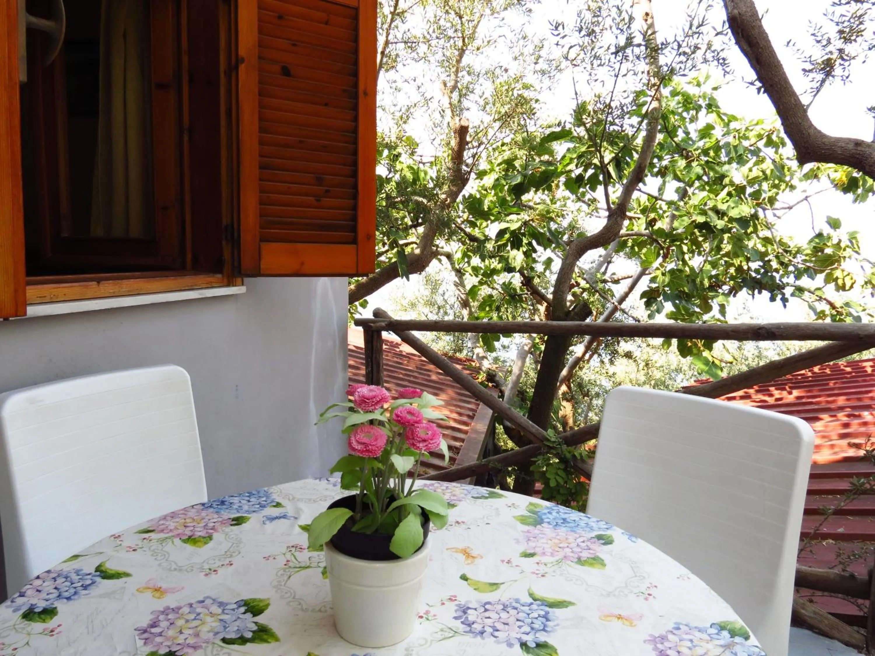 Patio in Baia Serena