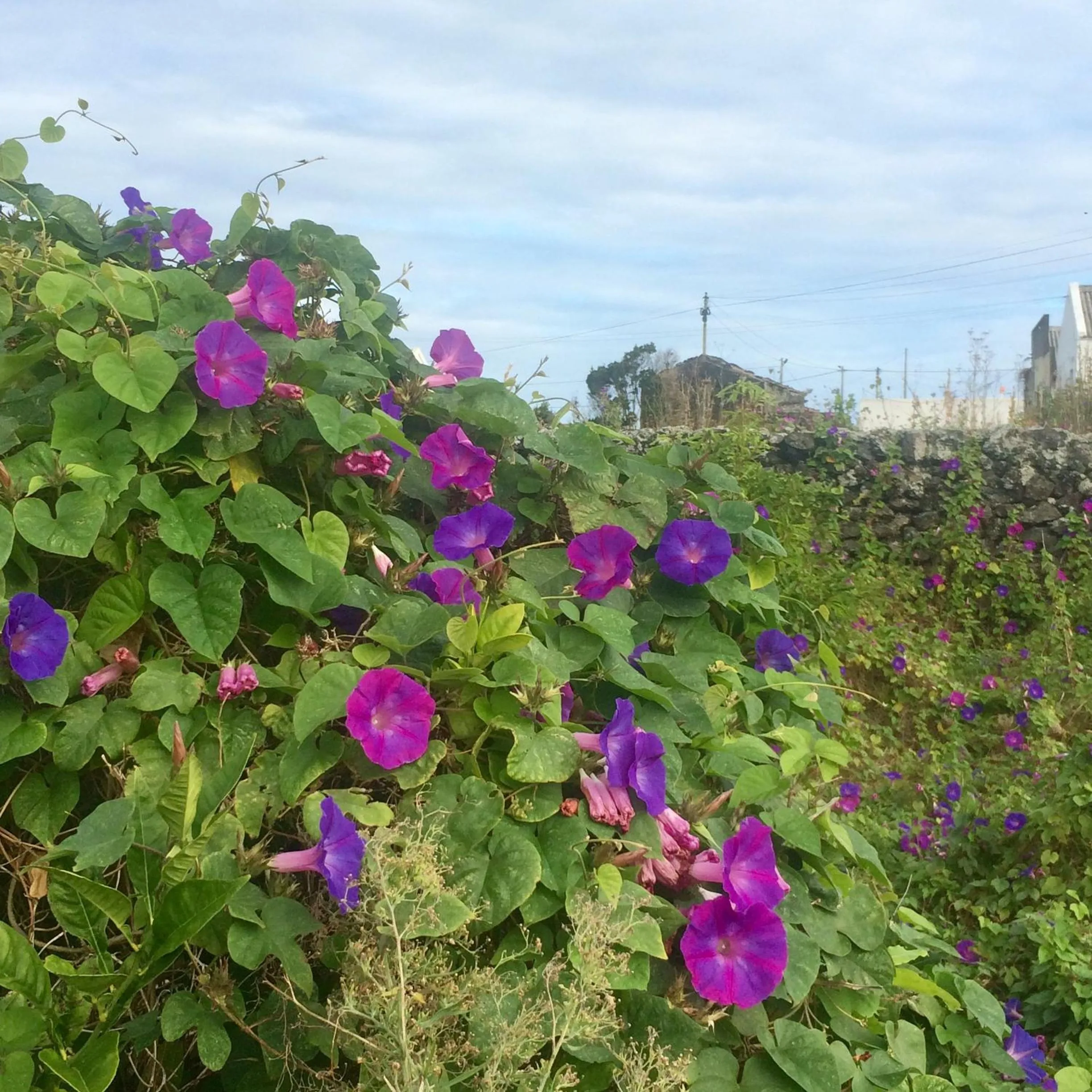 Landmark view in Villa Da Madalena