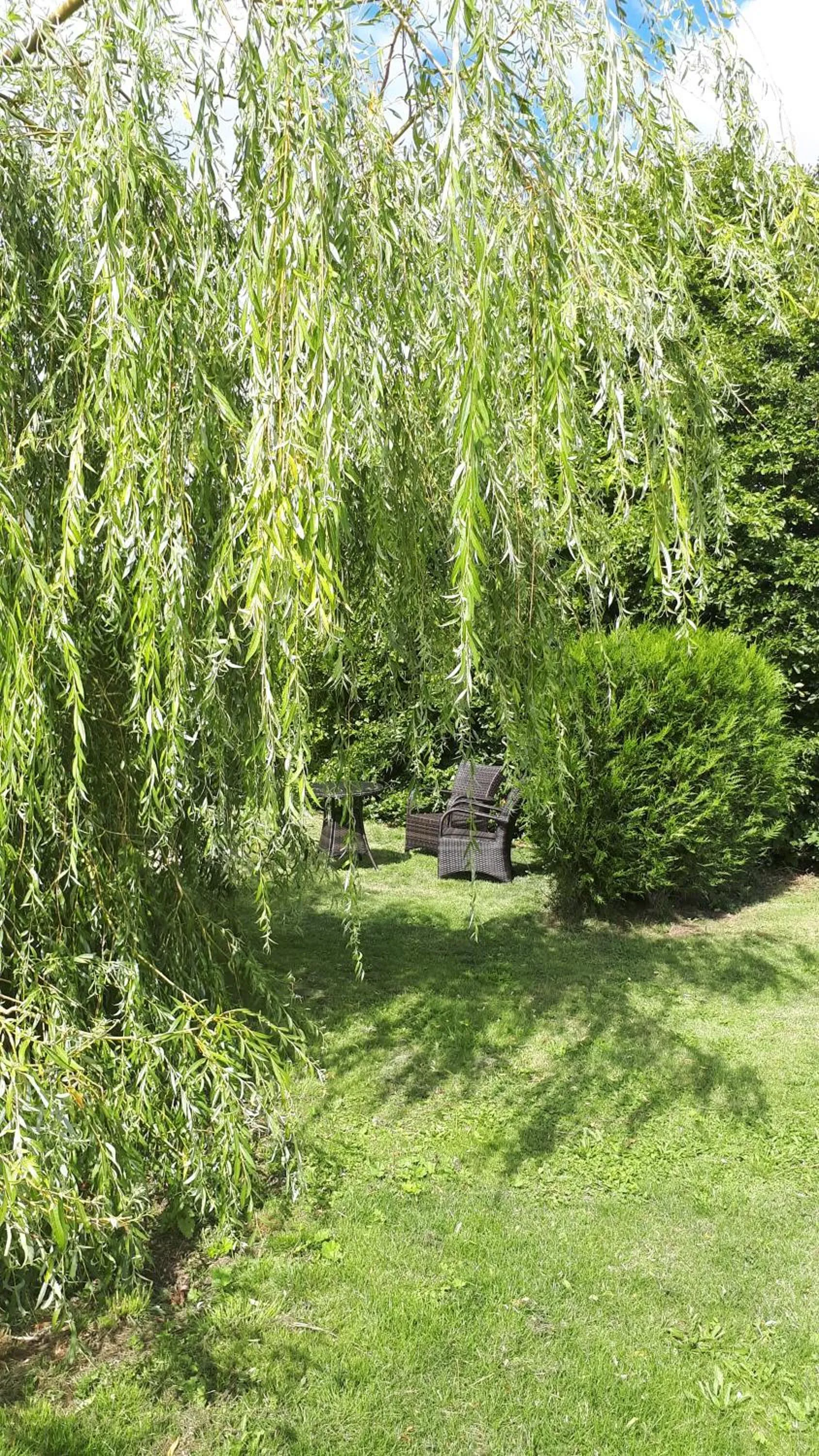Garden in The Suites at Pannells Ash