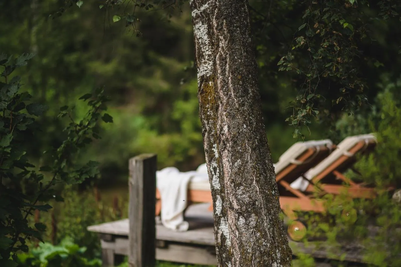 Garden in Guesthouse St Nikolaus