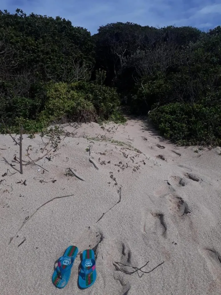 Fishing in Crowned Crane