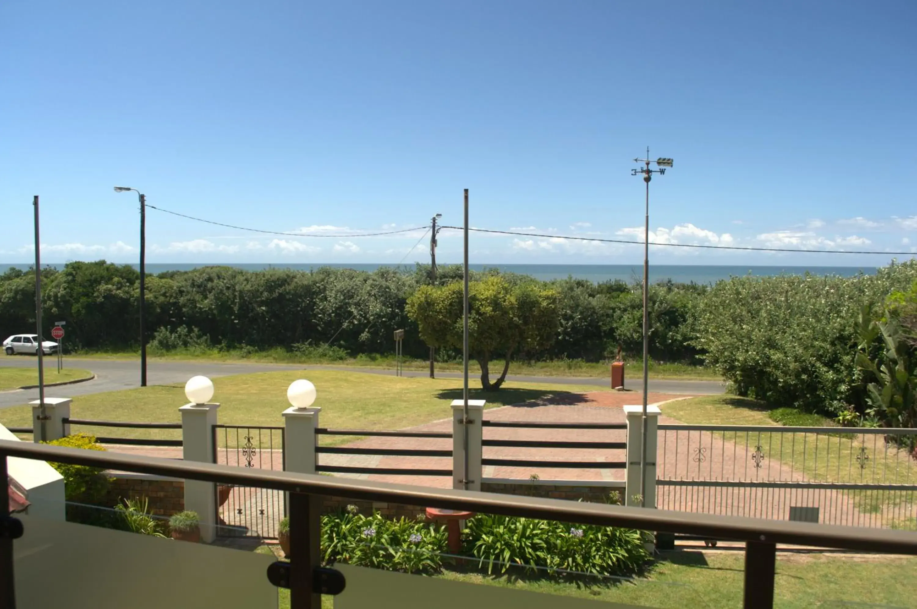Crowned Crane Crowned Crane
