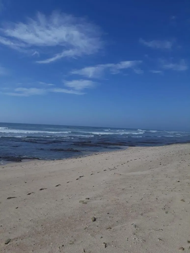 Fishing in Crowned Crane