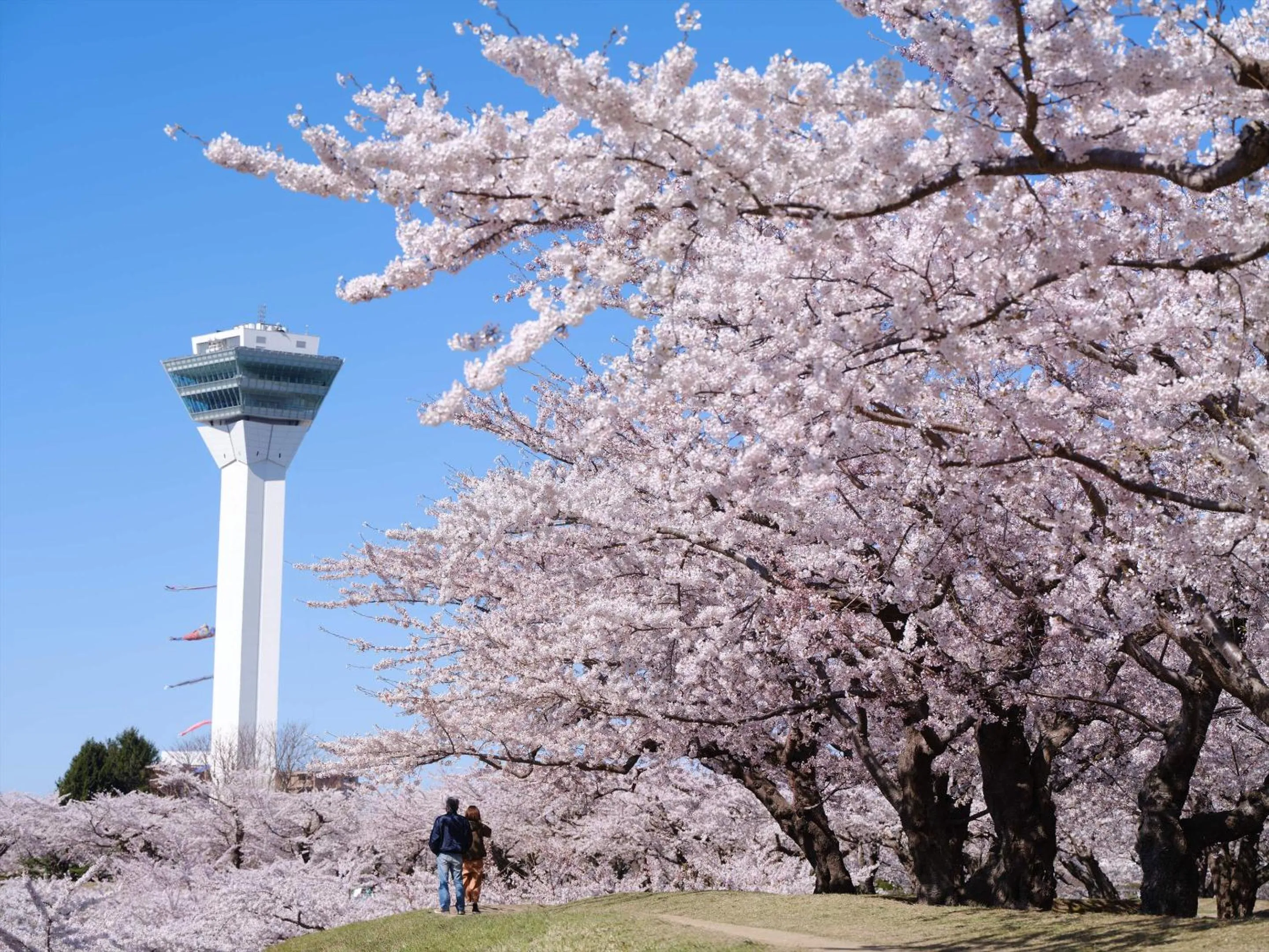 Nearby landmark in Gran Palette Hakodate