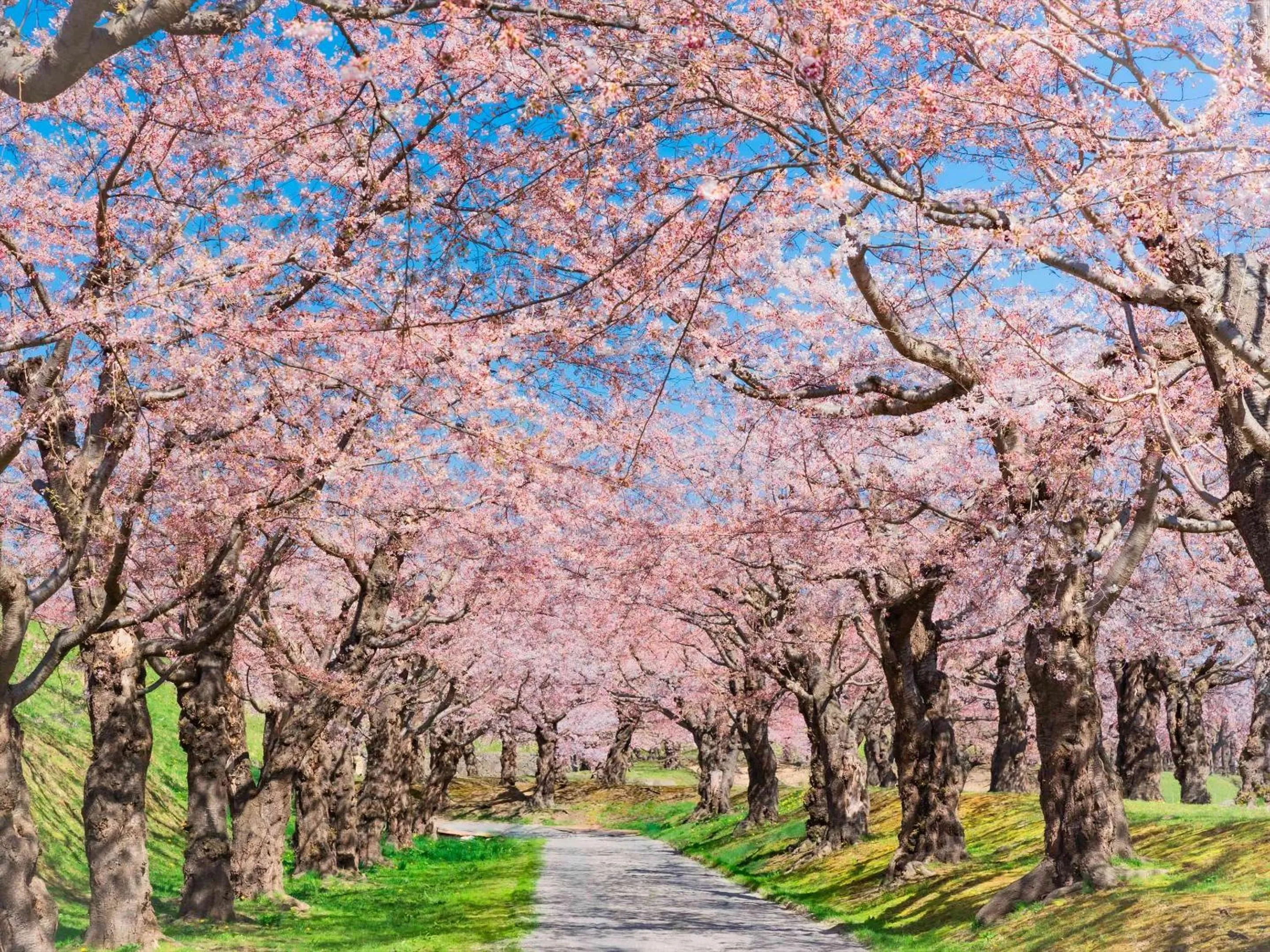 Nearby landmark in Gran Palette Hakodate