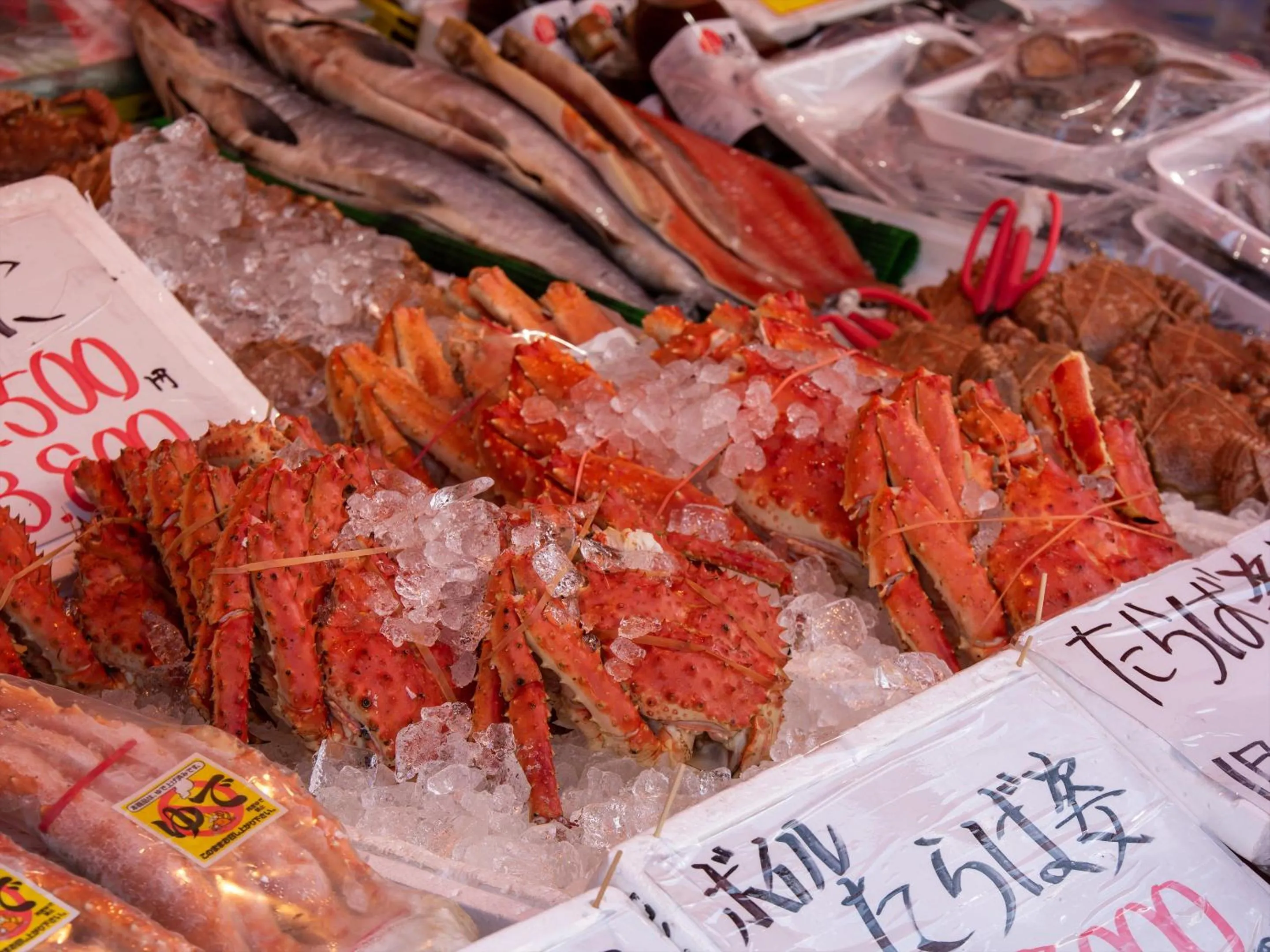 Nearby landmark in Gran Palette Hakodate